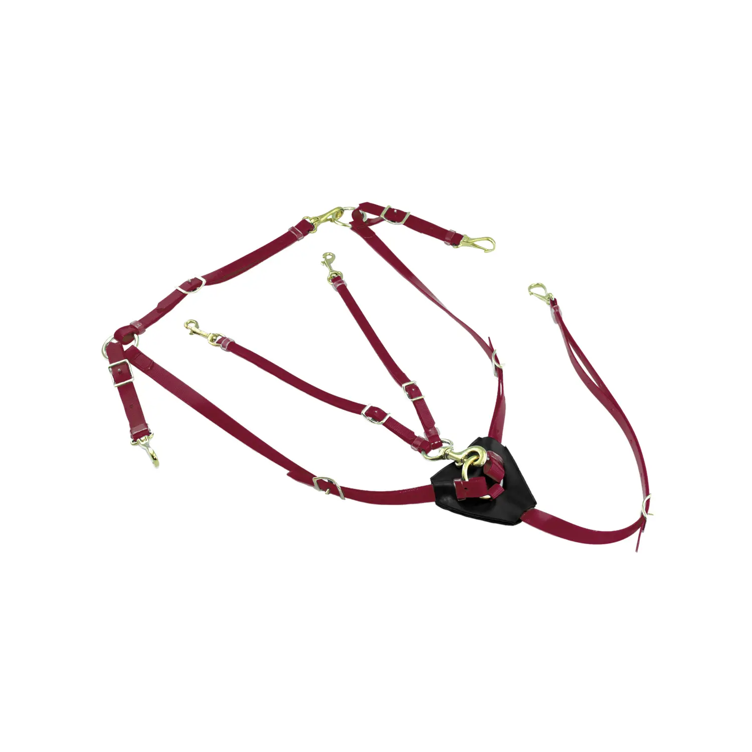 Hunting collar for horse and biothane martingale with brass buckles Lakota