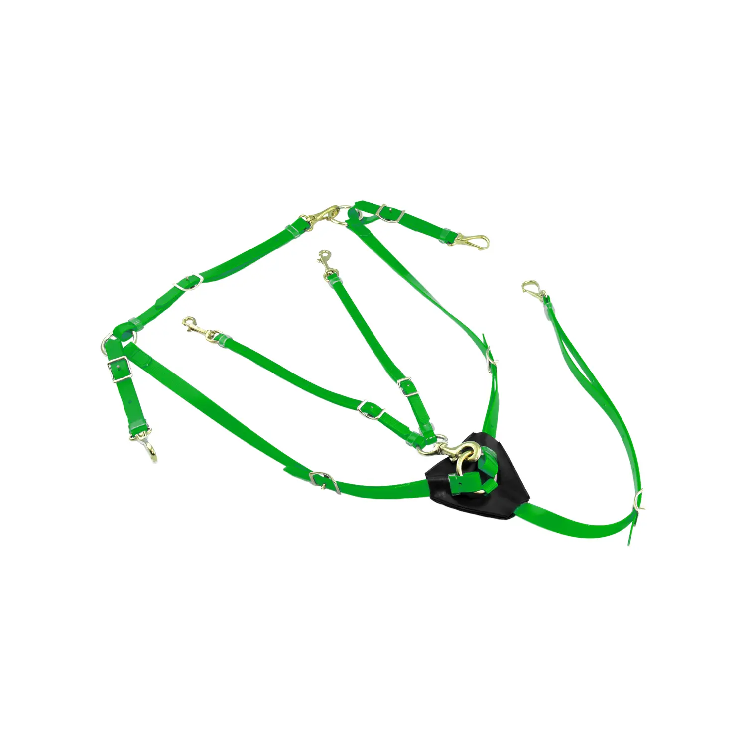 Biothane hunting collar for horse with martingale Lakota