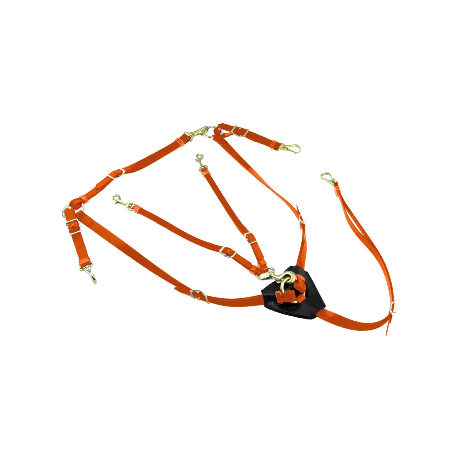 Biothane hunting collar for horse with martingale Lakota