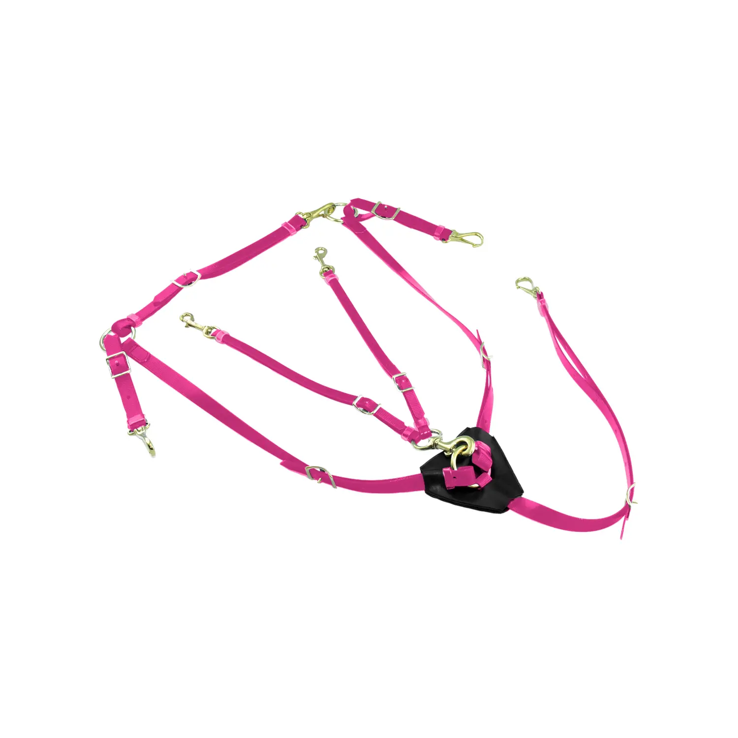 Biothane hunting collar for horse with martingale Lakota
