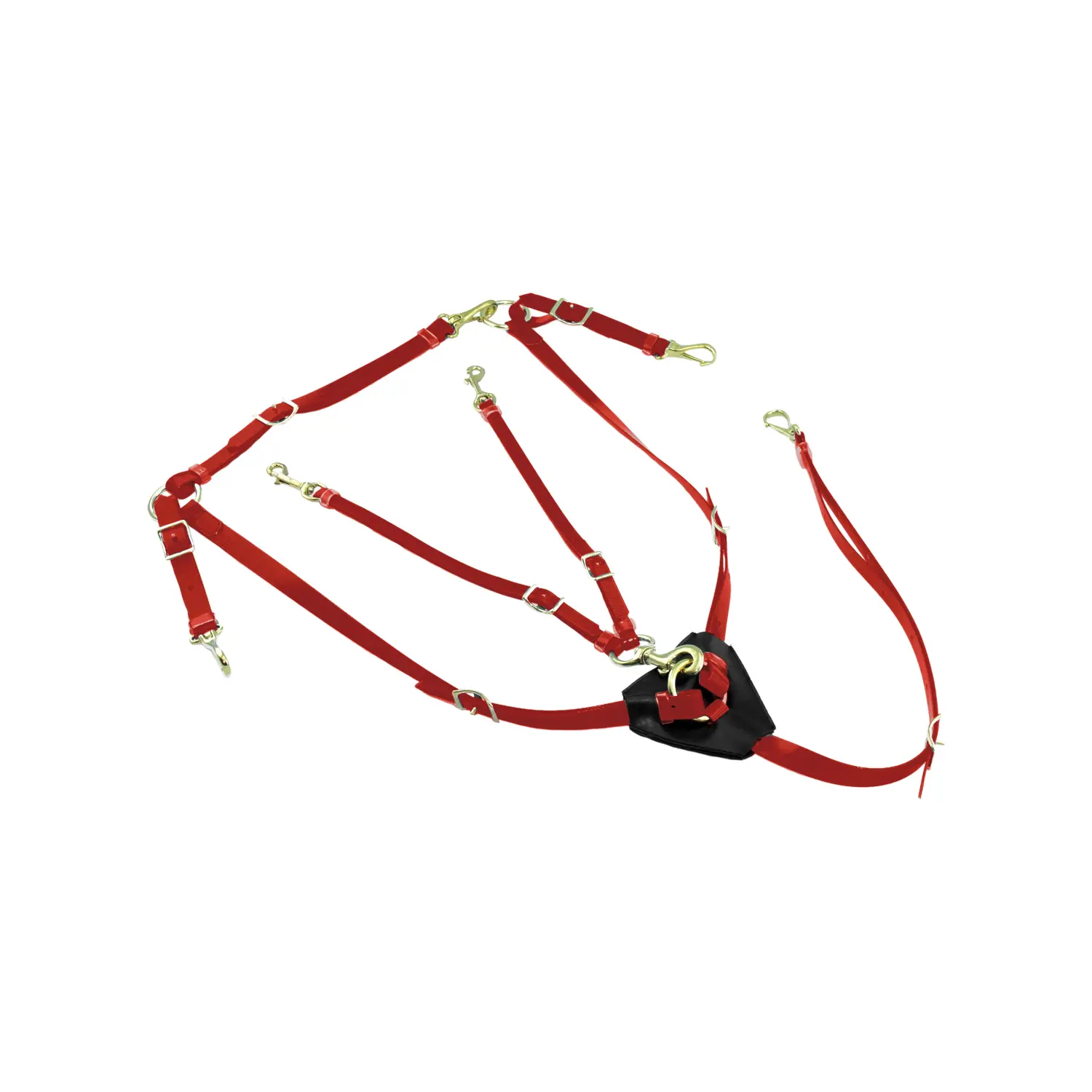 Biothane hunting collar for horse with martingale Lakota