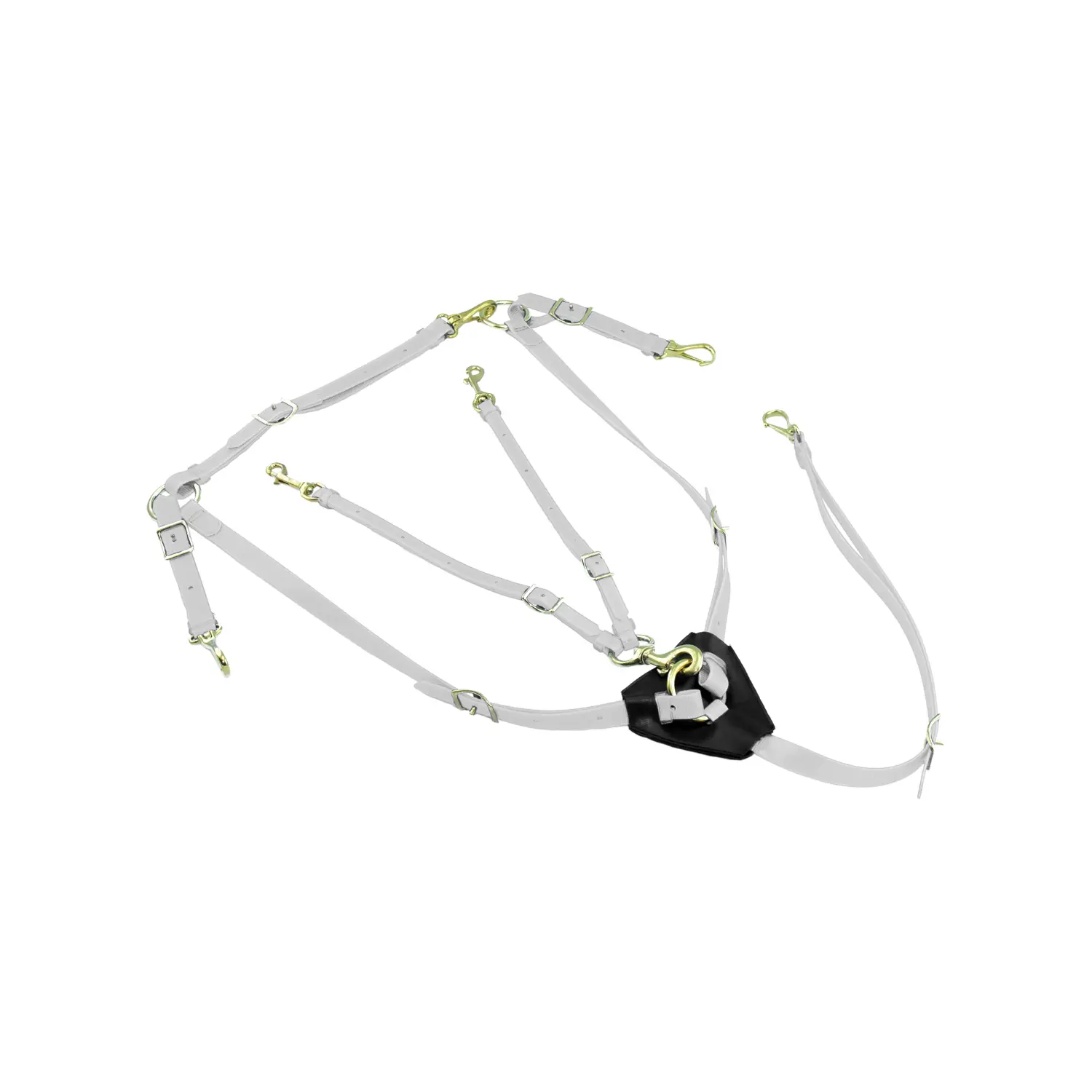 Biothane hunting collar with martingale for horse Lakota