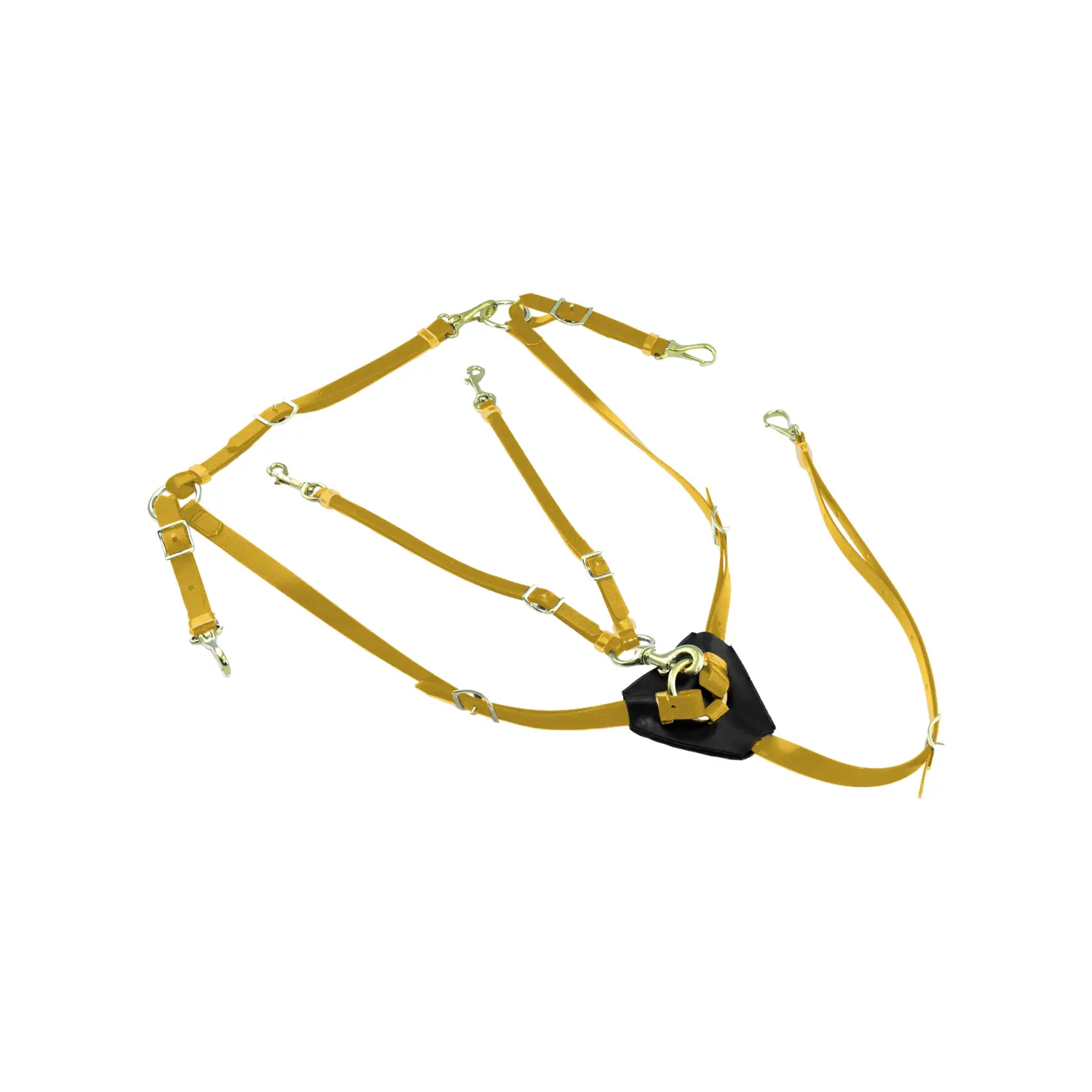 Biothane hunting collar with martingale for horse Lakota