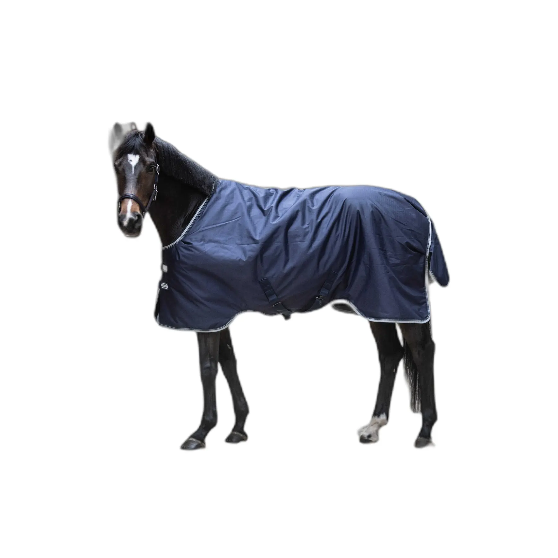 Couverture d'extérieur pour cheval Lami-Cell 600D Field Master 200g
