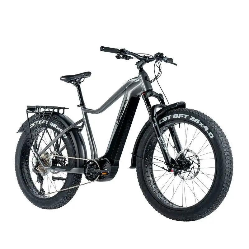 Elektrofahrrad Leader Fox Brasa 2024