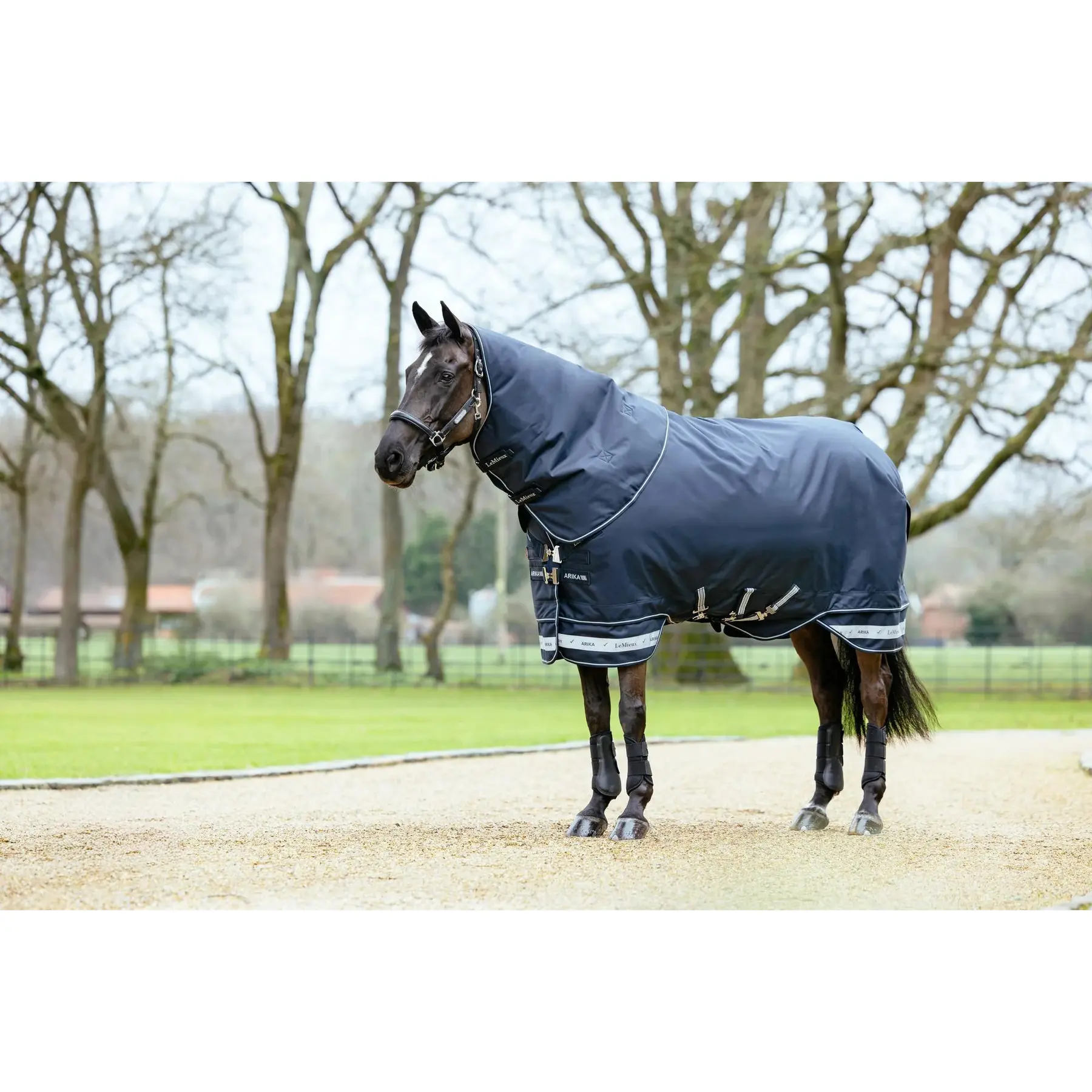 Coperta da paddock per cavalli LeMieux Arika Storm-Tek 100g