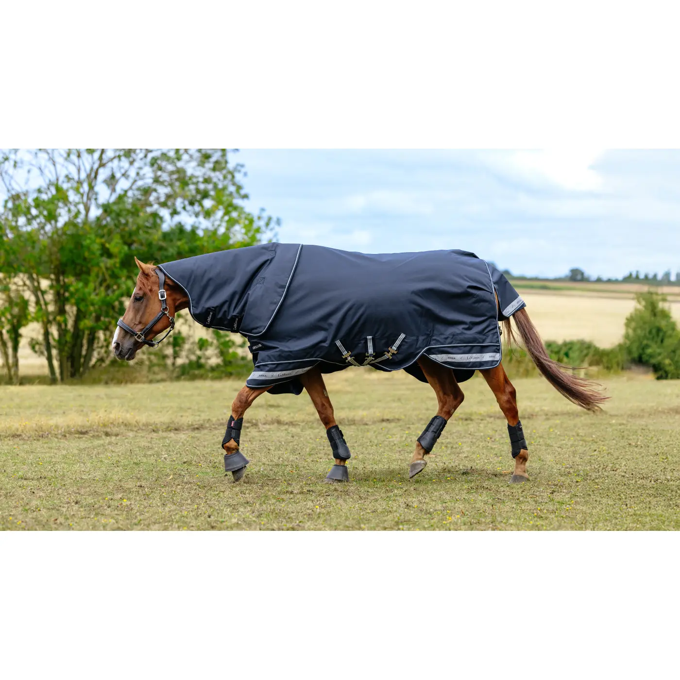 Outdoor paardendeken LeMieux Arika Storm-Tek 200g