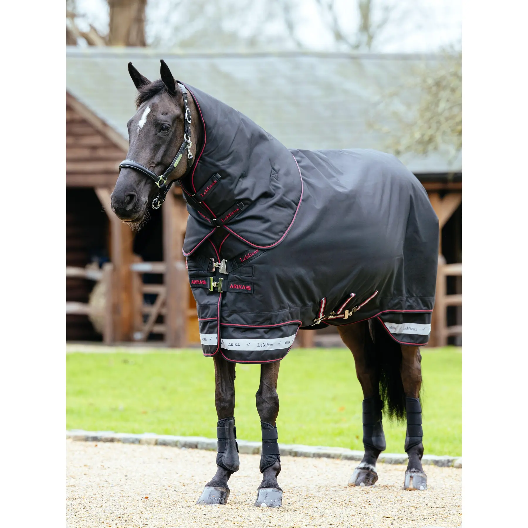 Coperta impermeabile per cavalli LeMieux Arika Storm-Tek 350g