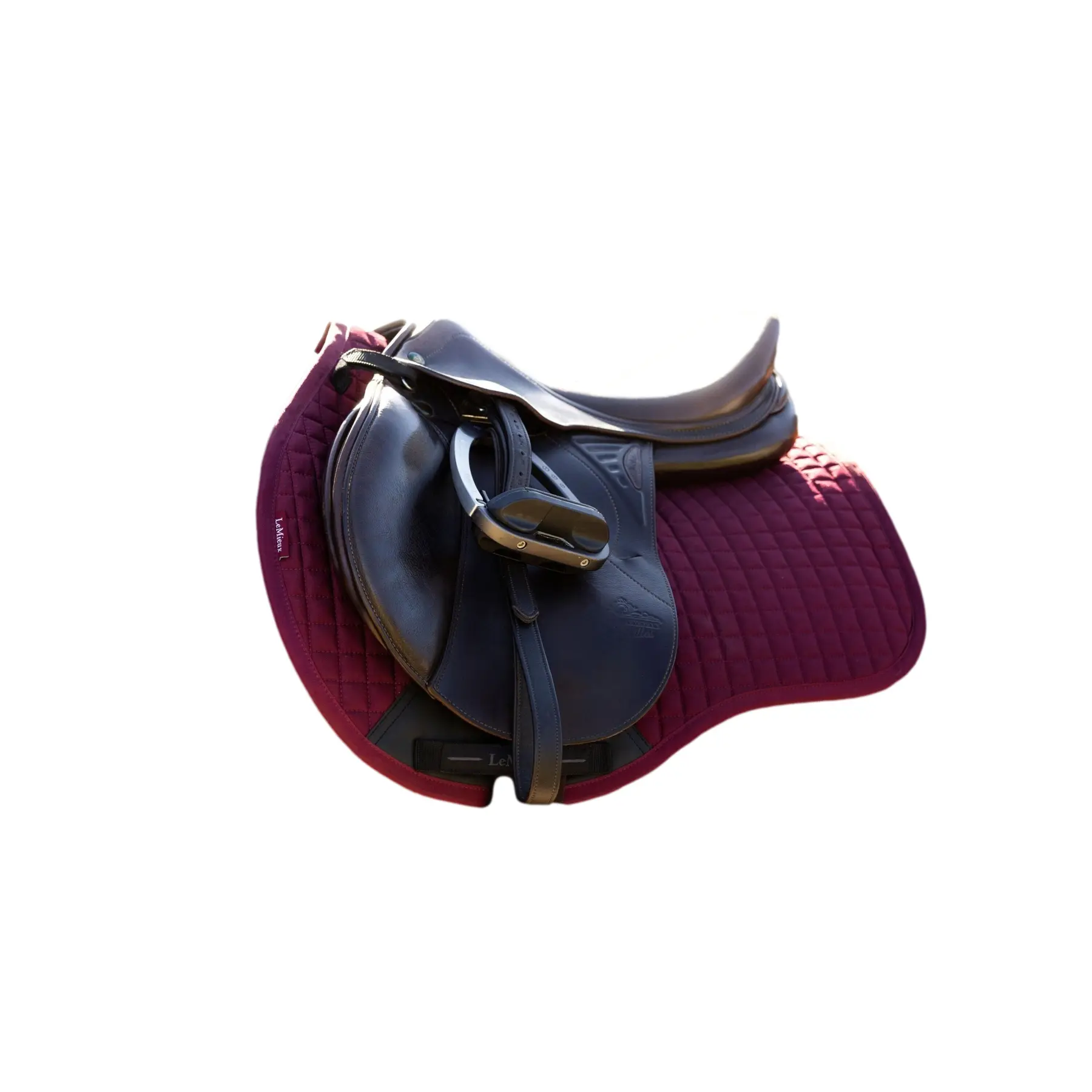 Saddle pad for mixed horses LeMieux
