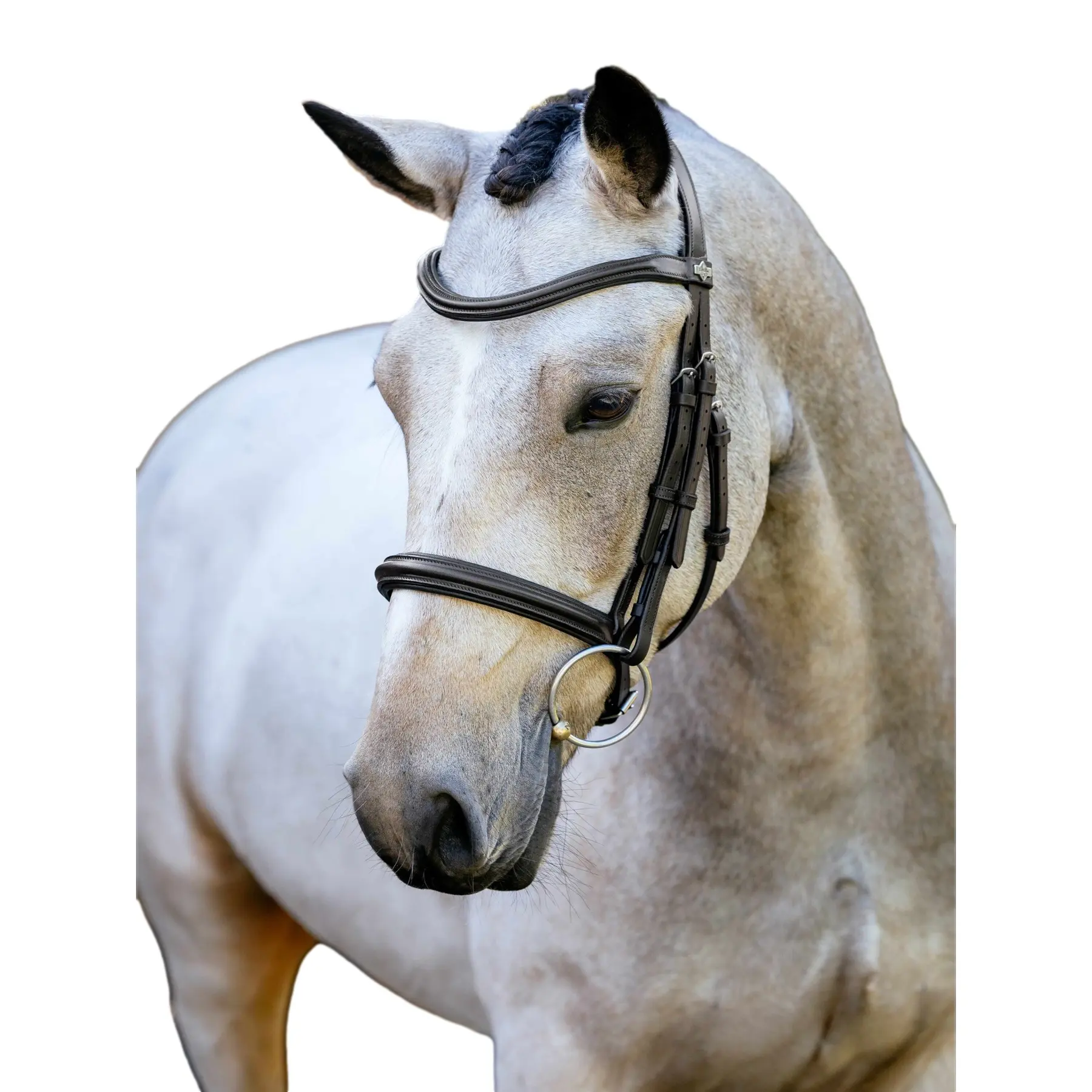 Bridles for horses LeMieux Arika Cavesson