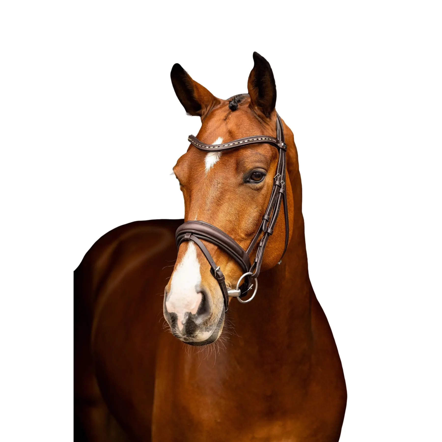 Dressage Riding Bridle LeMieux Arika