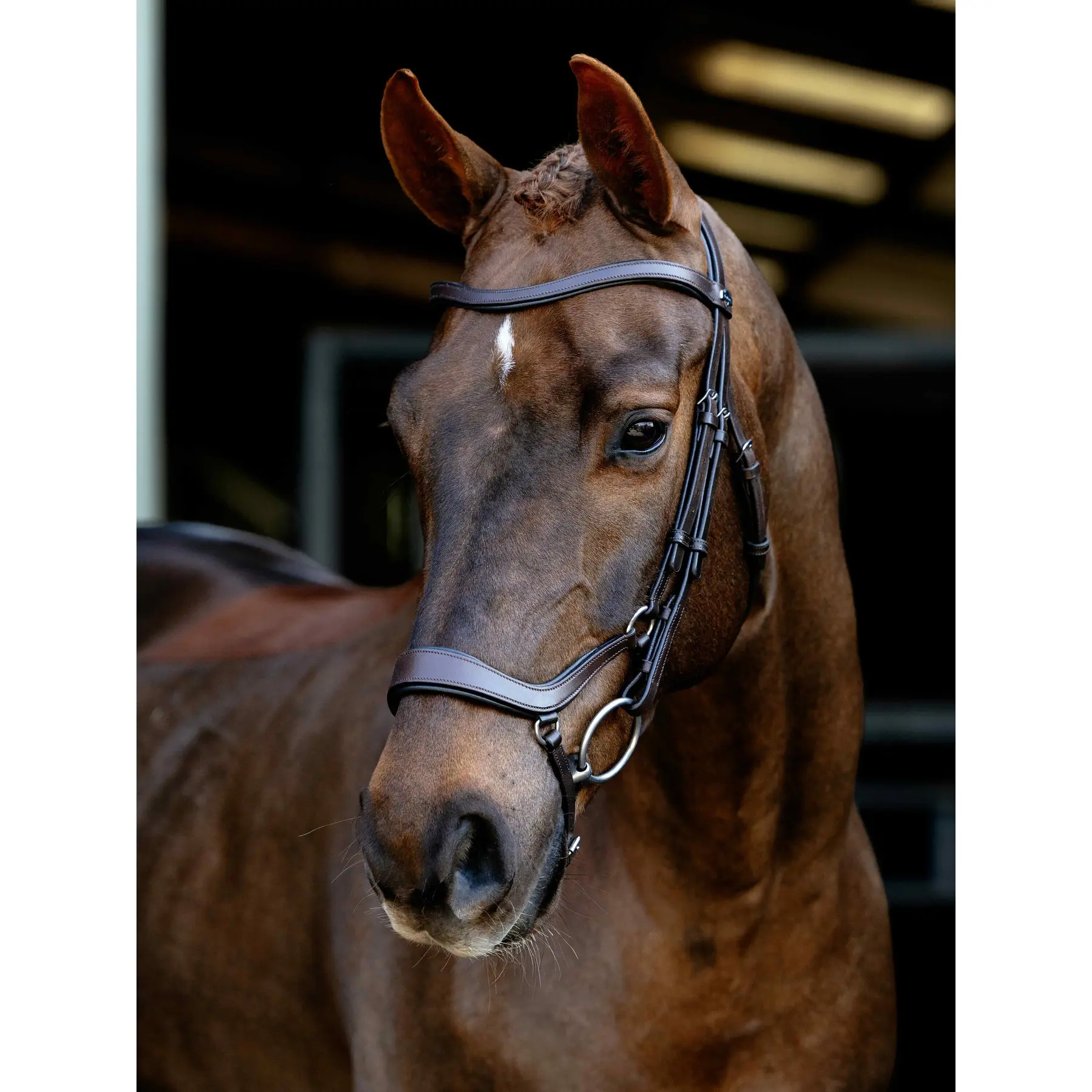 Muserolle Tombante für Reitbridon LeMieux