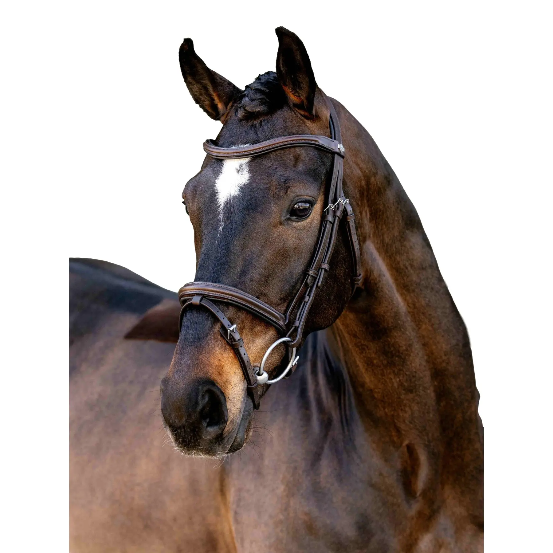 Combined riding bridle and noseband LeMieux Arika