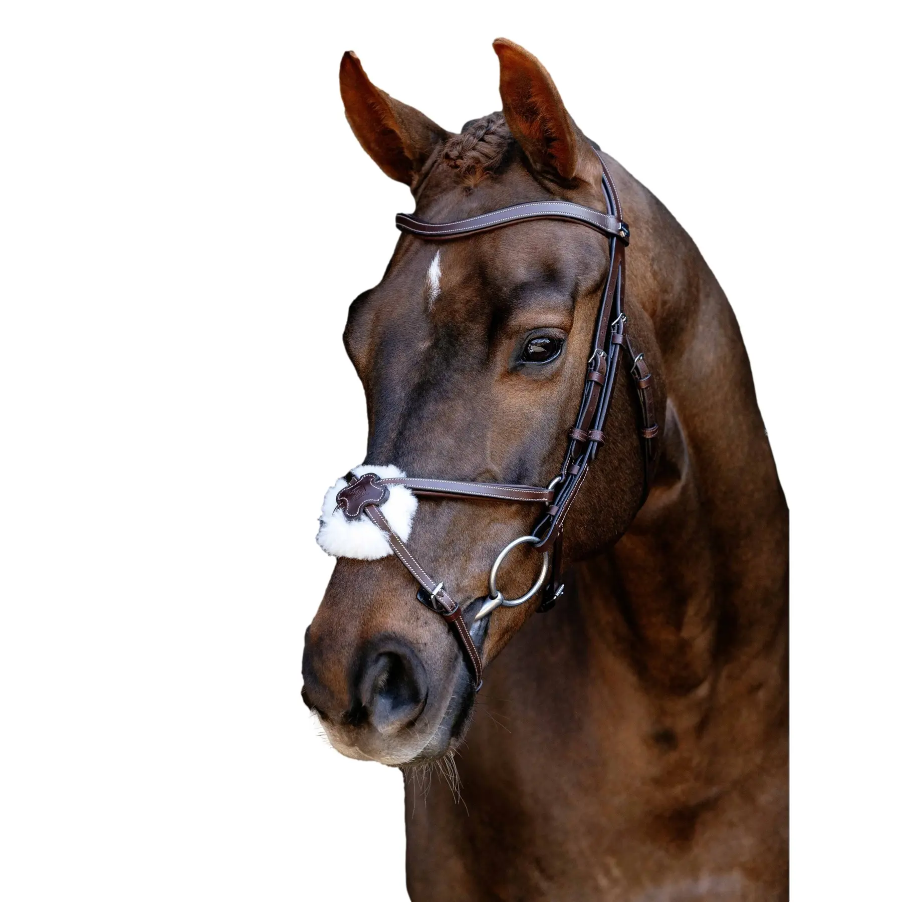 Bridle with crossed noseband LeMieux Arika