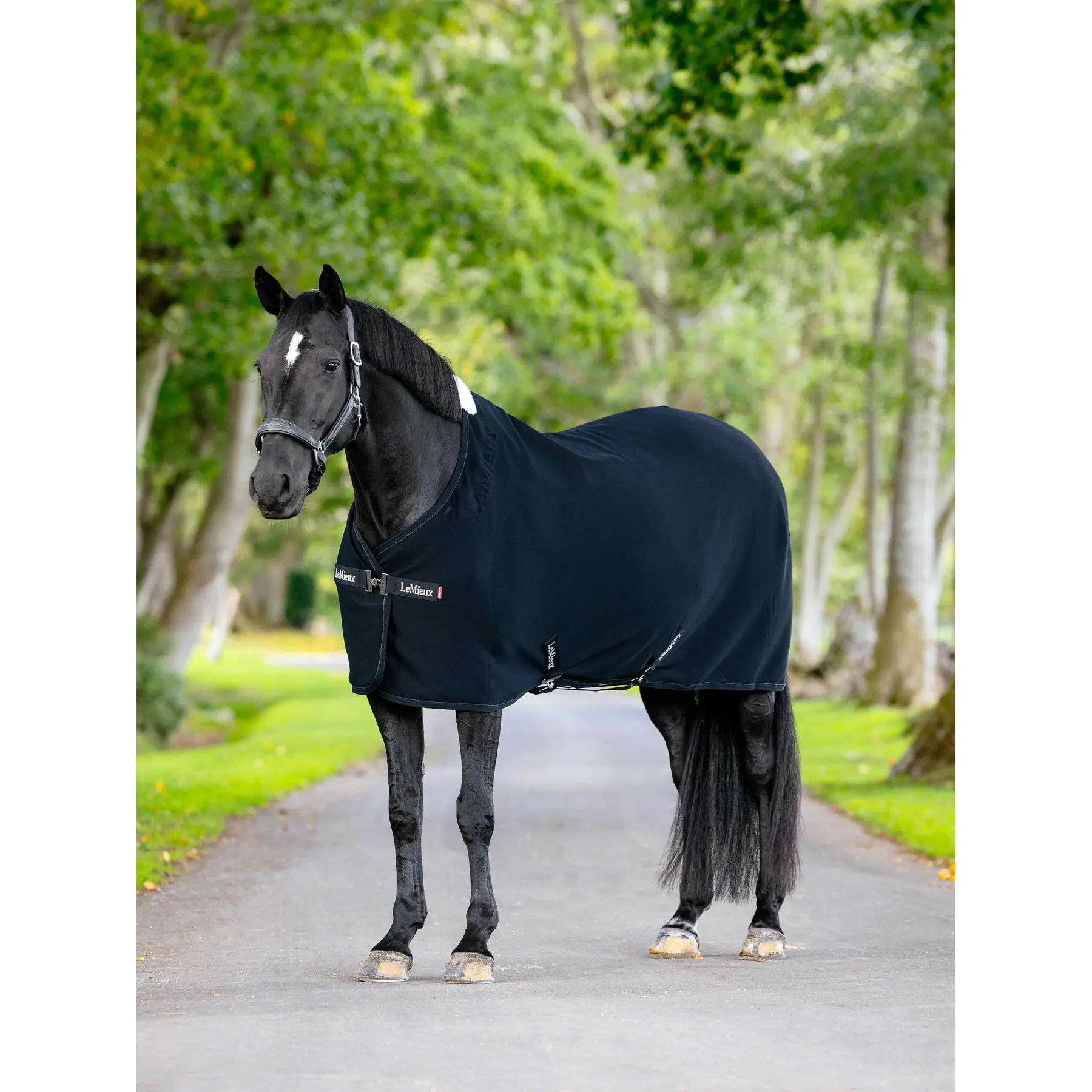 Fleece Blanket LeMieux Arika Jersey-Tek