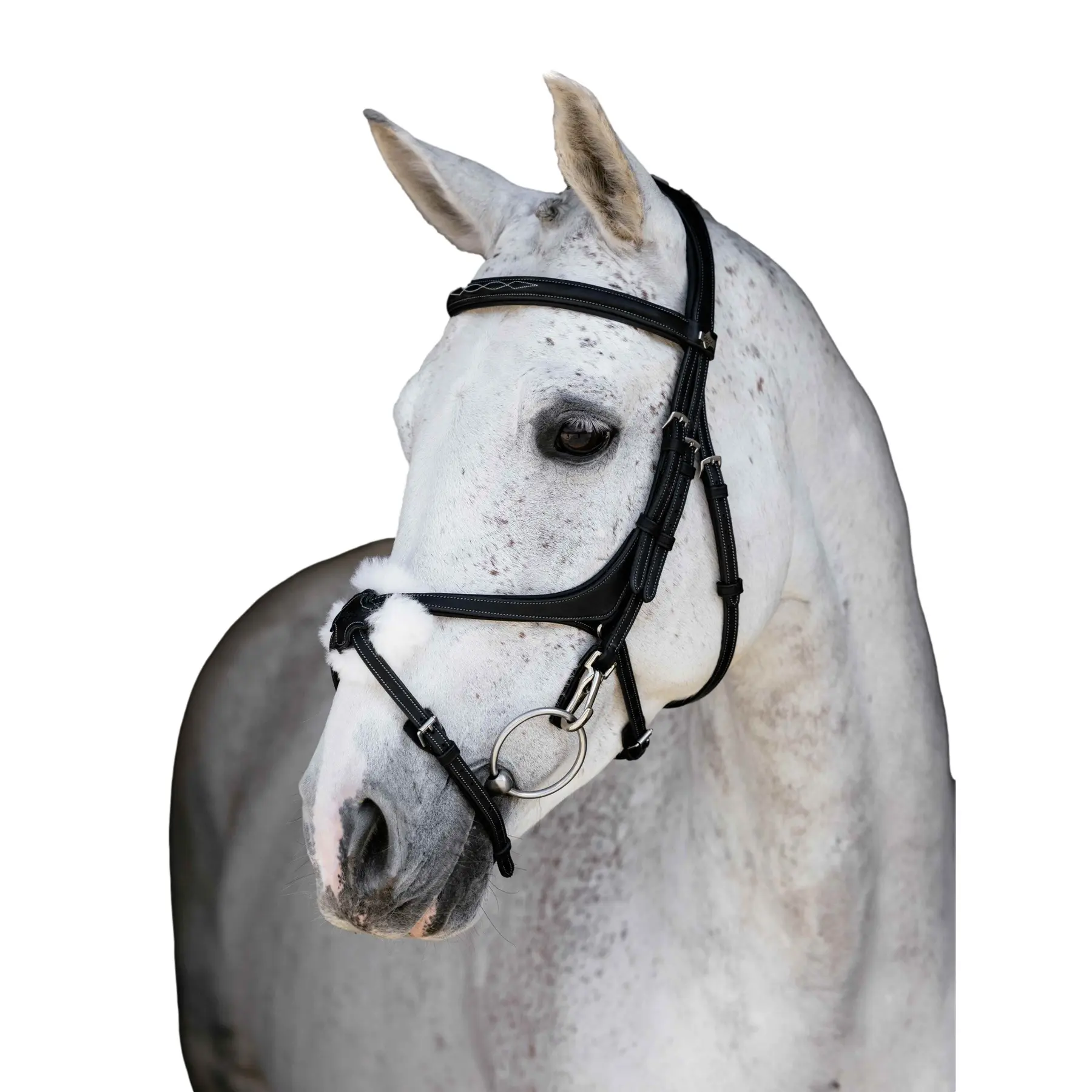 LeMieux Kudos Grackle Anatomical Bridle - Black Size: Extra Full - Image 2
