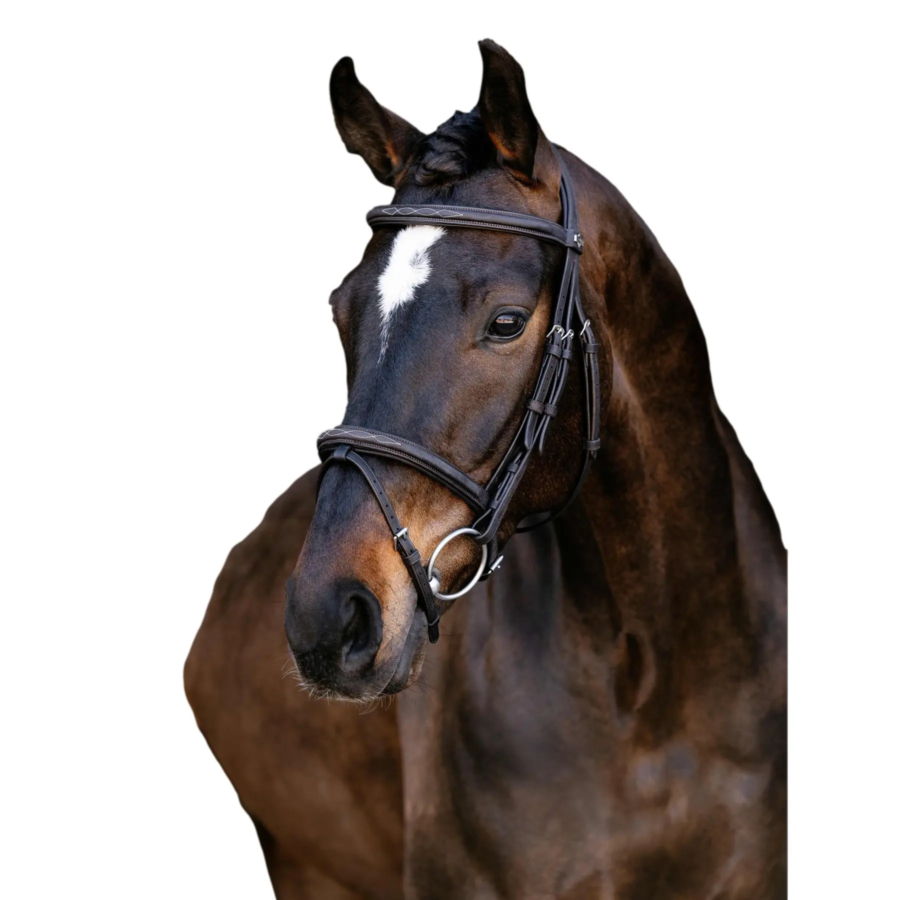 Classic Combined Muzzle Bridle LeMieux Arika