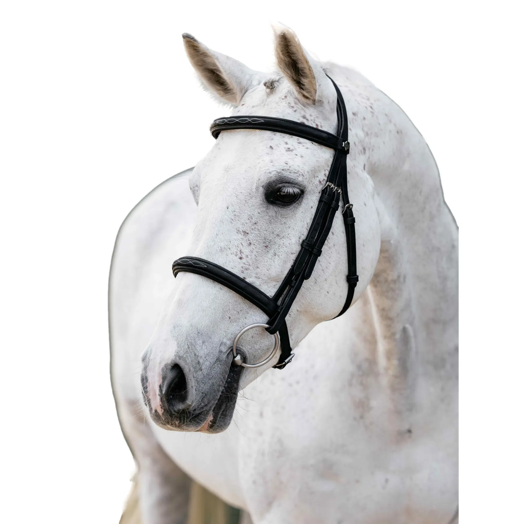 Classic Cavesson Horse Riding Bridles LeMieux