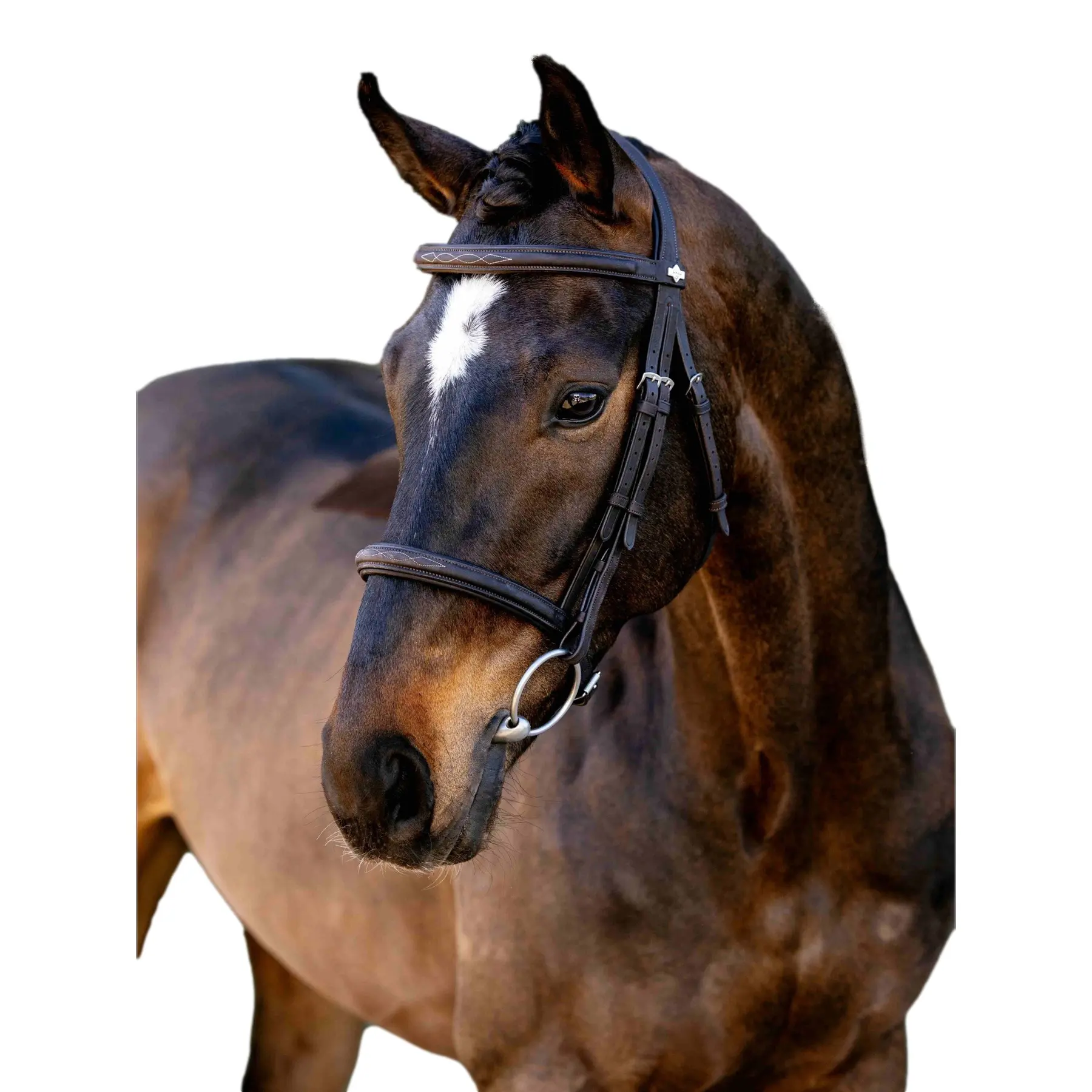 Classic Cavesson Horse Riding Bridles LeMieux