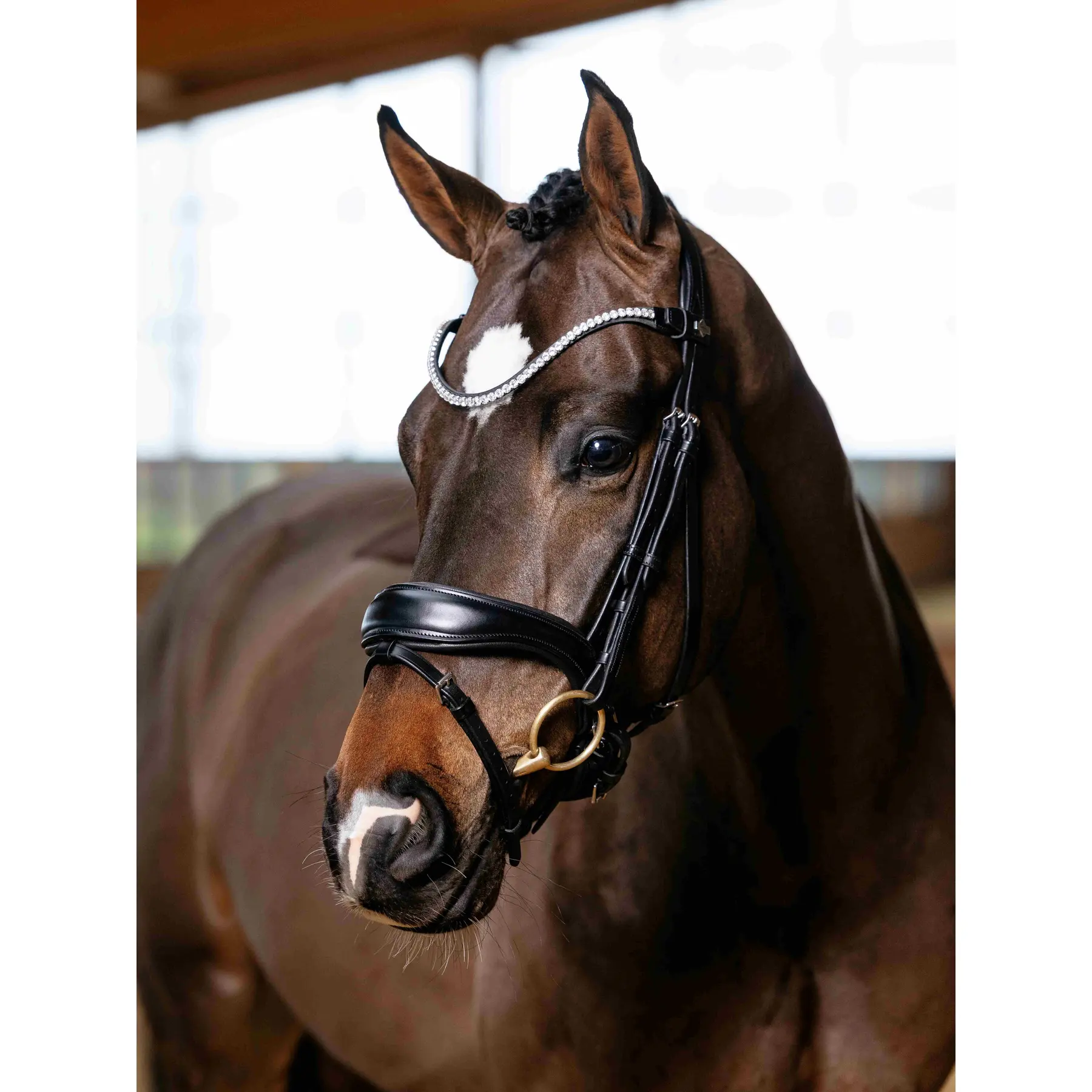 Bridons Reiten für Dressurpferde LeMieux