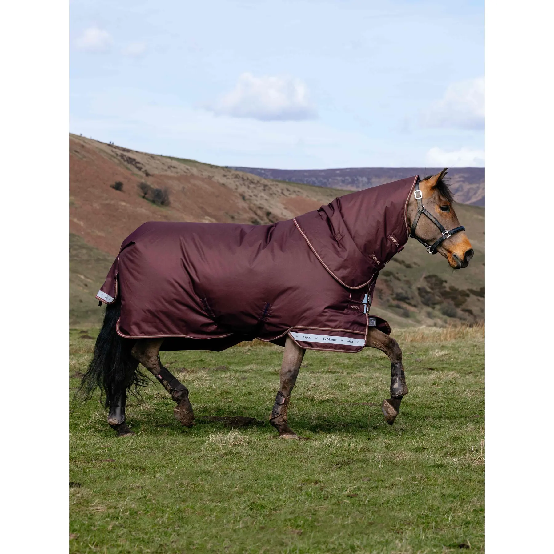 Coperta da paddock per cavalli LeMieux Arika Ripstop 100g