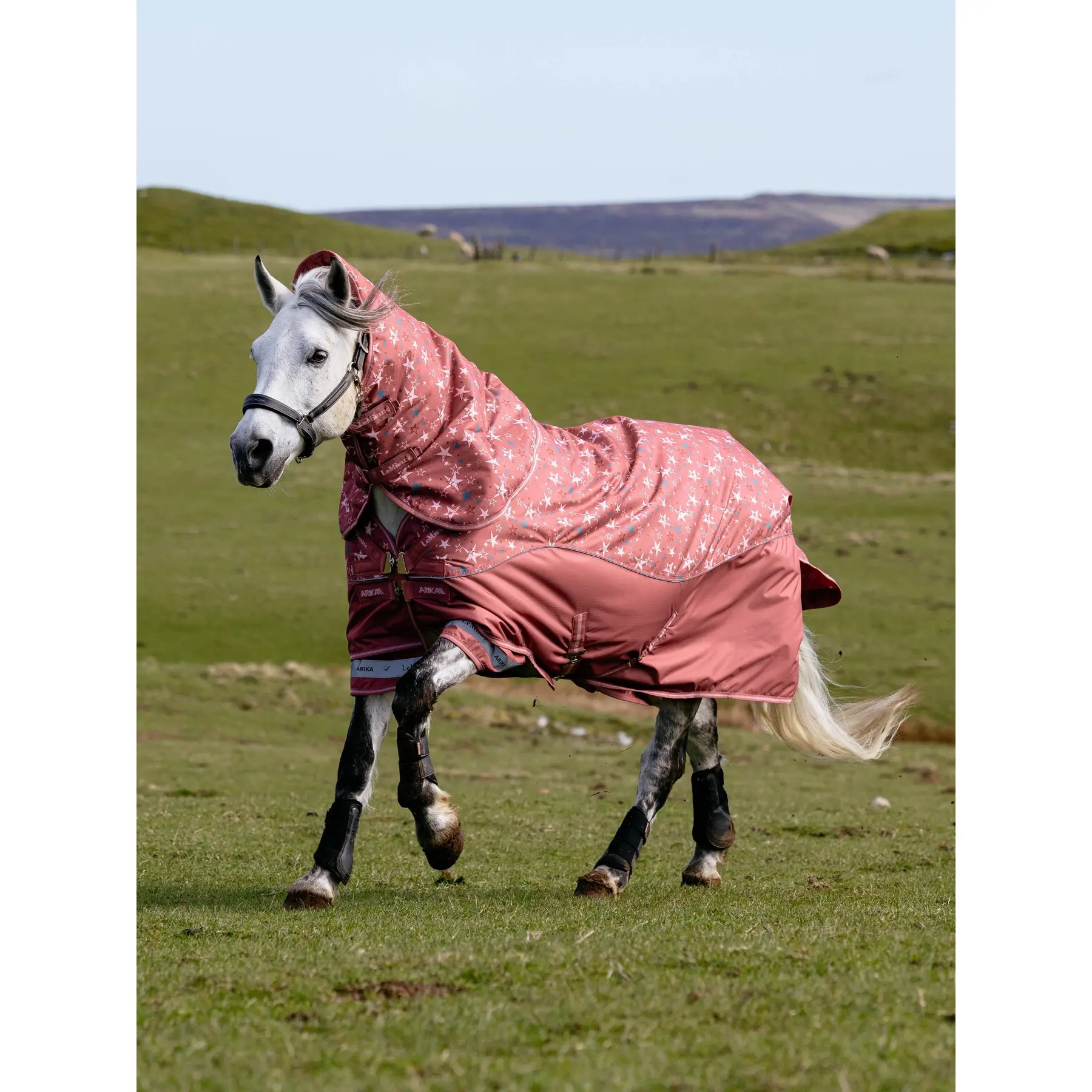 Coperta da paddock per cavalli LeMieux Arika Star 100g
