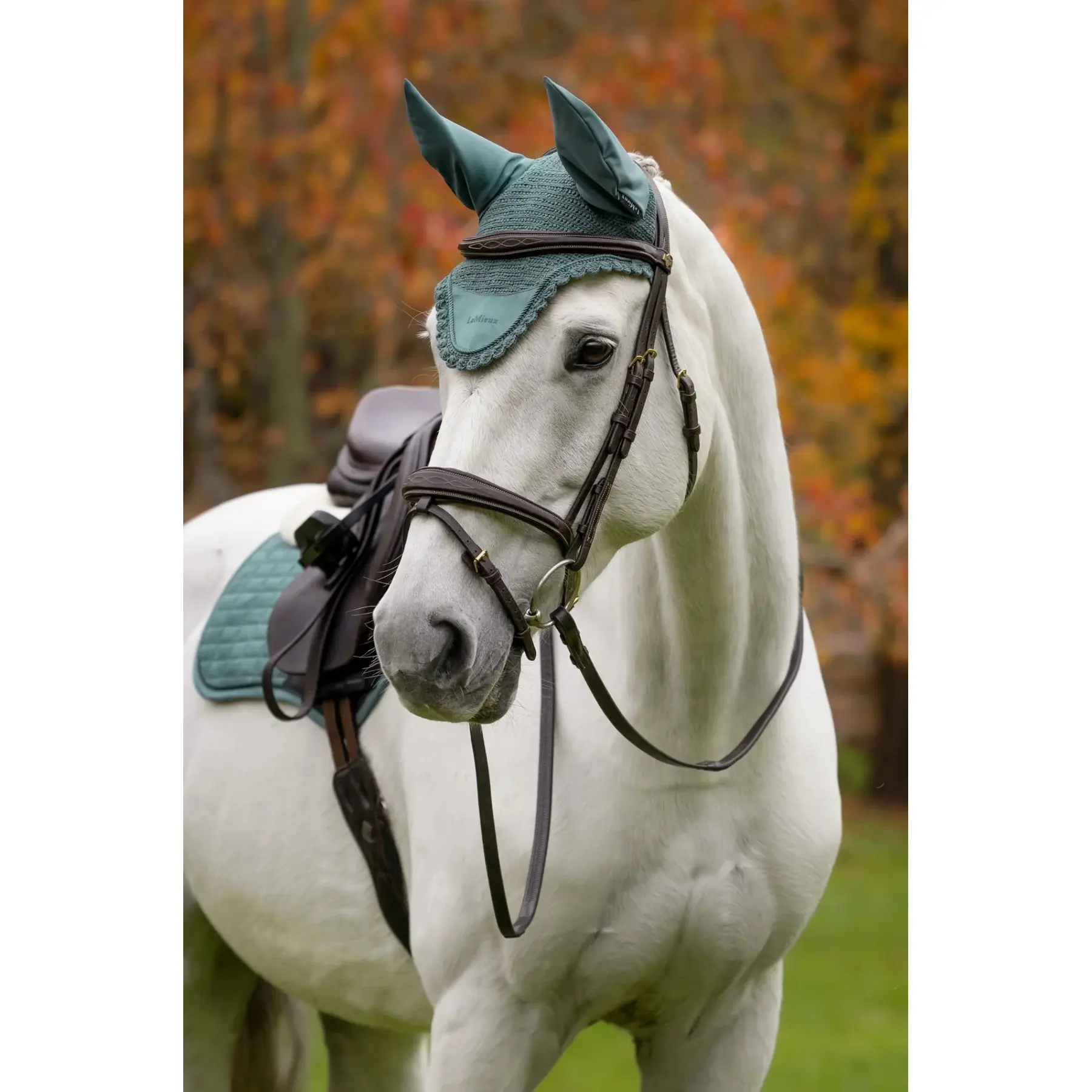 Short Fly hat LeMieux Classic