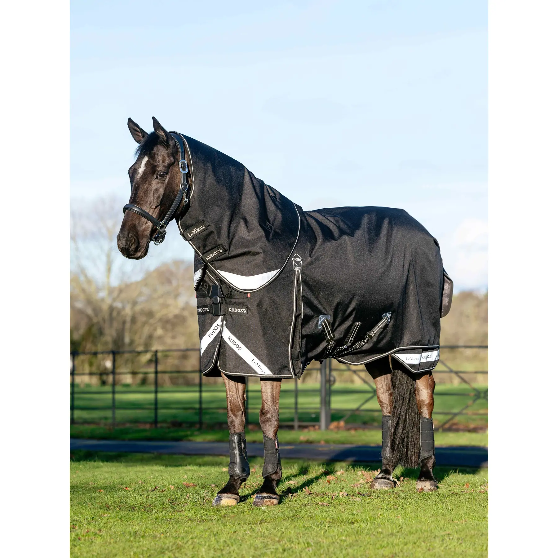 Coperta da paddock per cavalli LeMieux Kudos Neo 100g