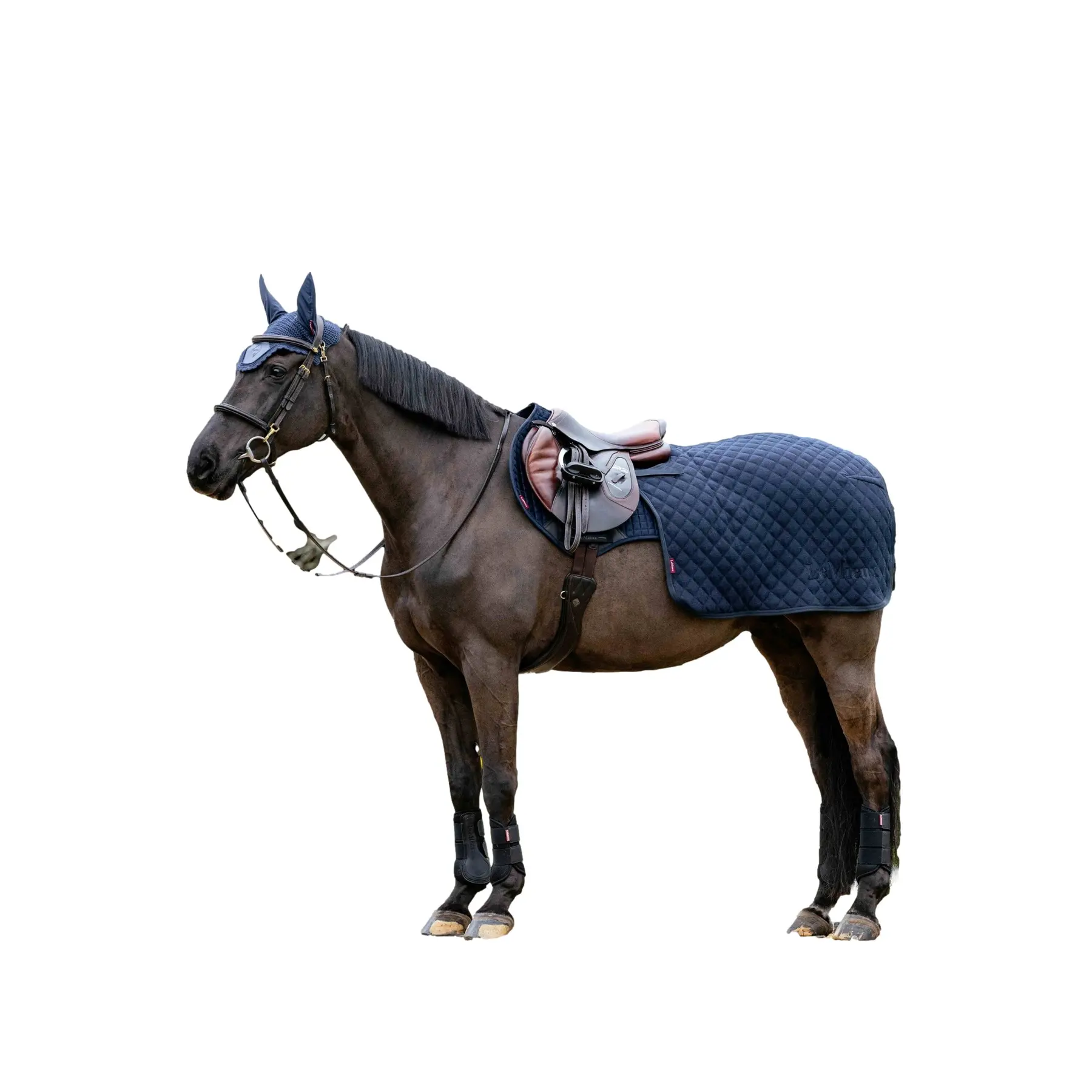 Hindquarters Cover LeMieux Clima-Tek Arika