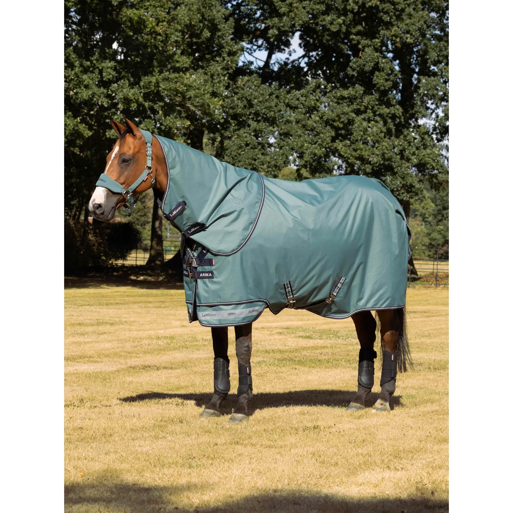 Coperta da paddock per cavalli LeMieux Arika Ripstop 0g