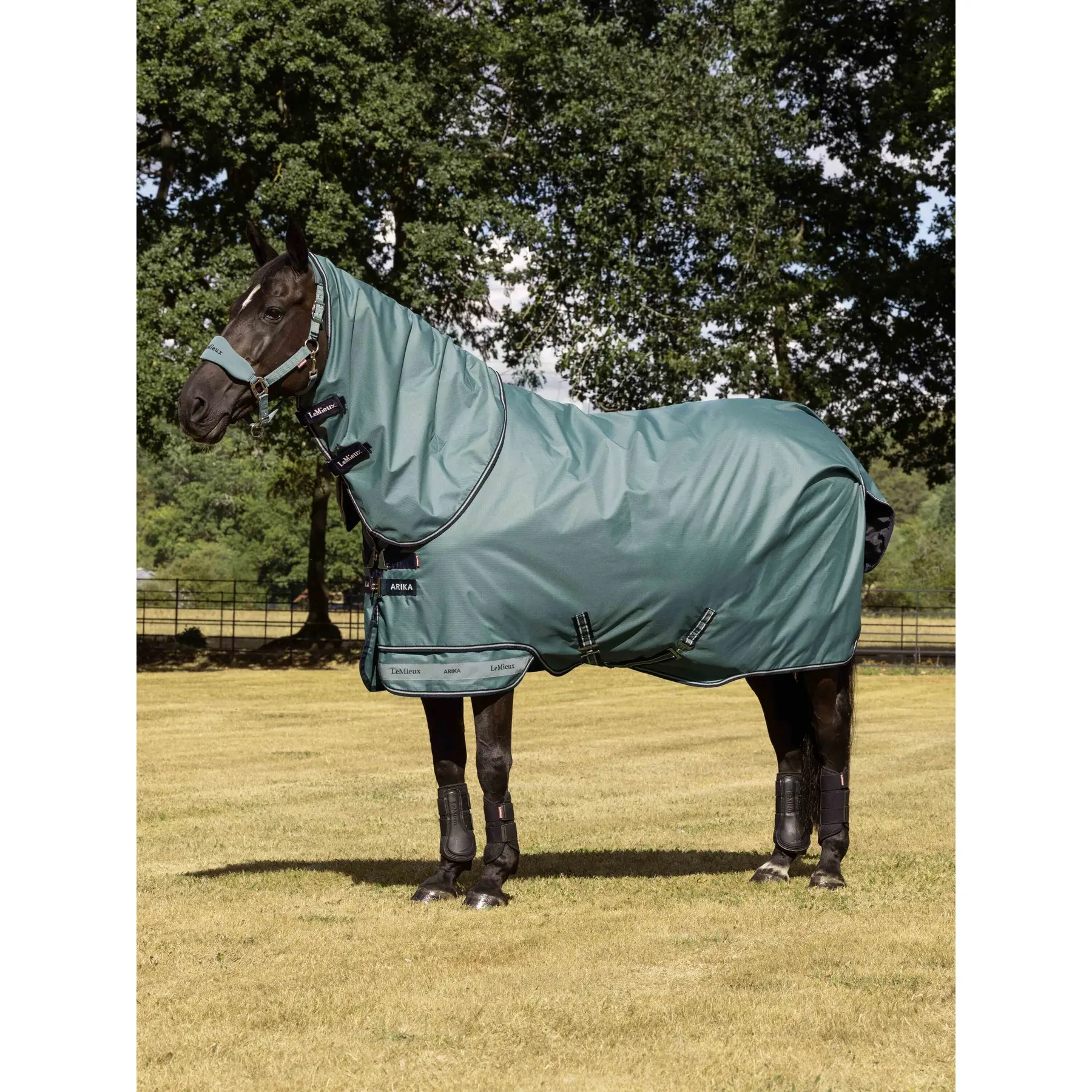 Coperta da paddock per cavalli LeMieux Arika Ripstop 100g