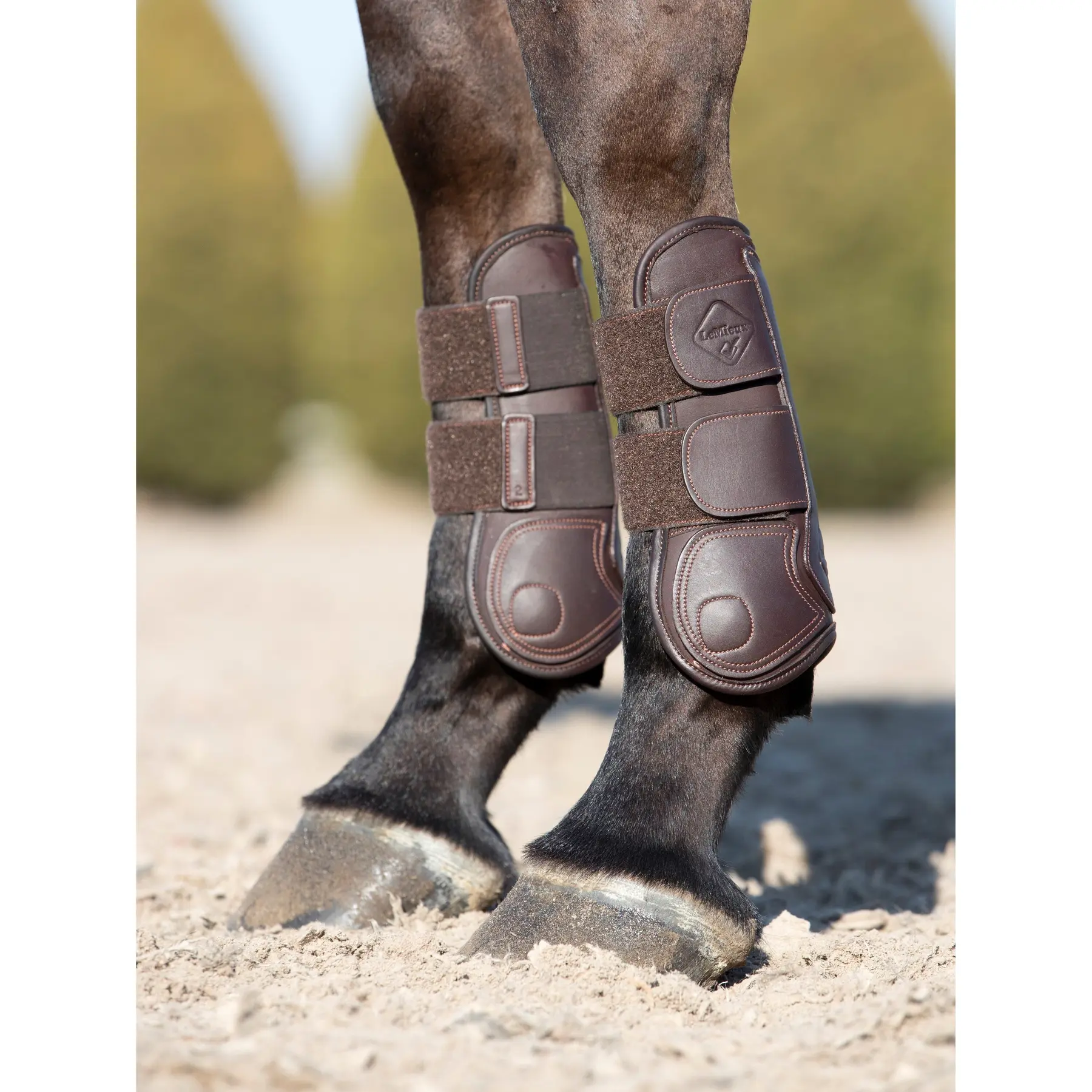 Open front gaiters for horses LeMieux Capella