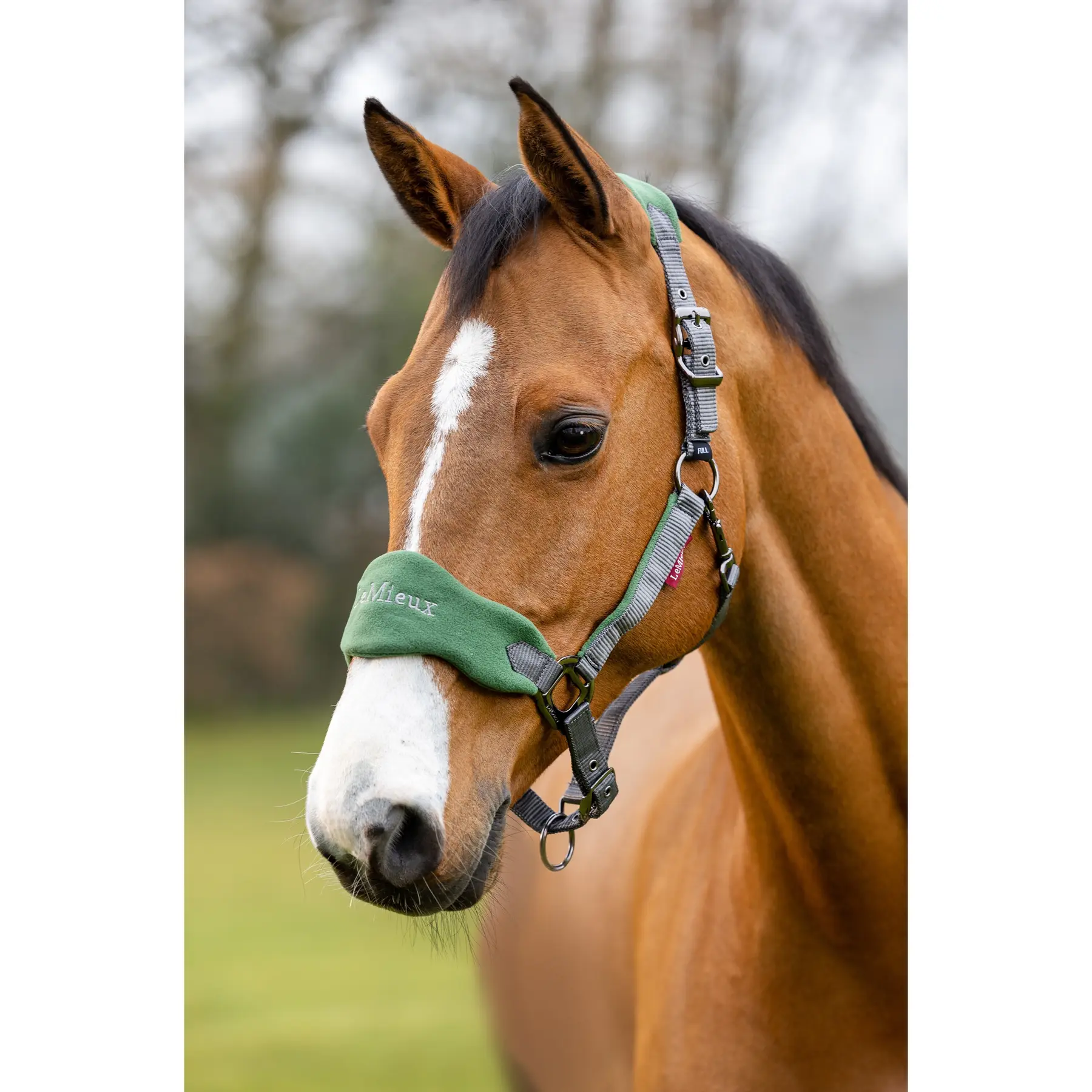 Halter and lead rope set LeMieux Vogue