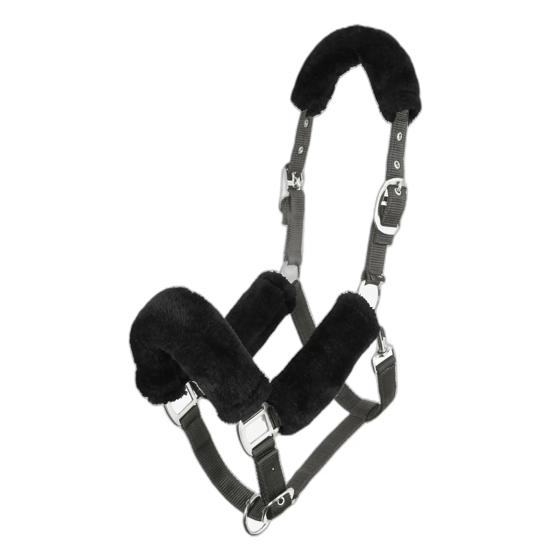 Halter for horse LeMieux Comfort