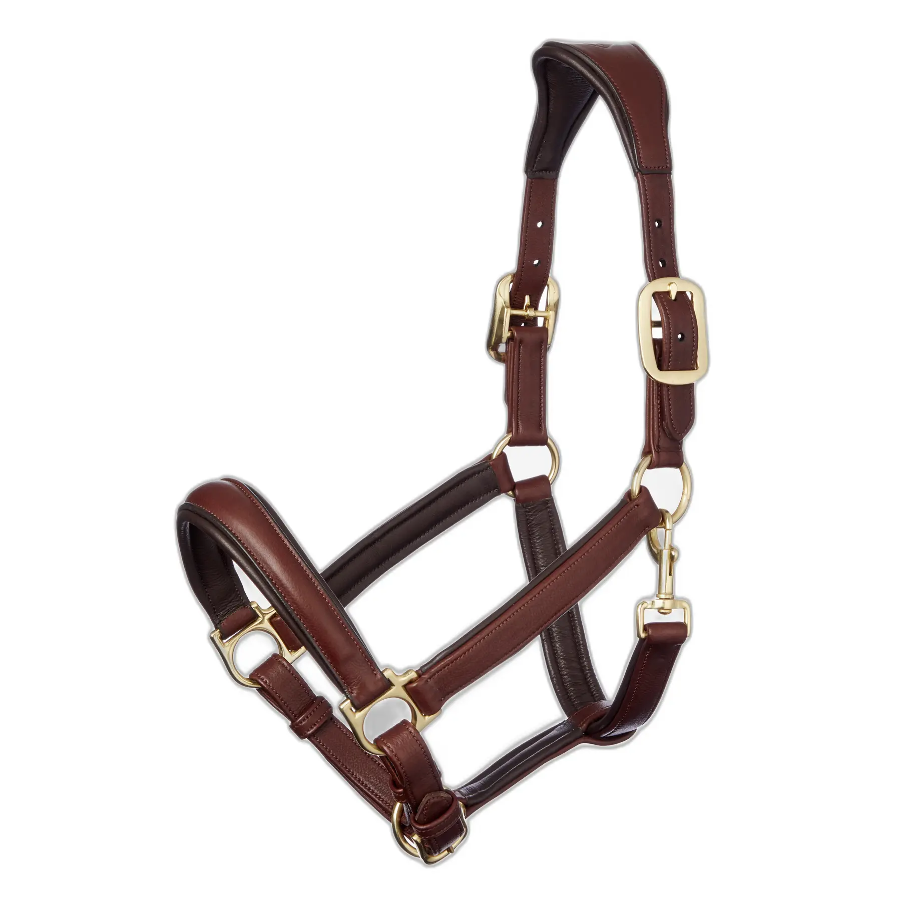 Halter for horse LeMieux Anatomic