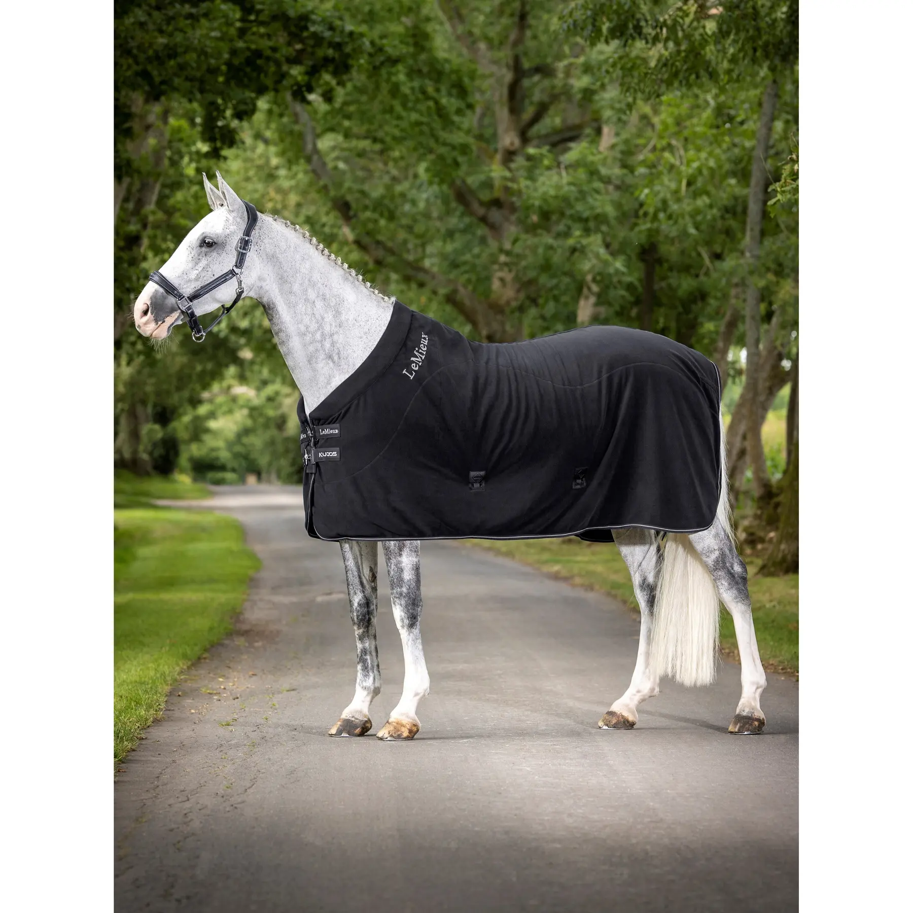 Fleece blanket  LeMieux 5'6"