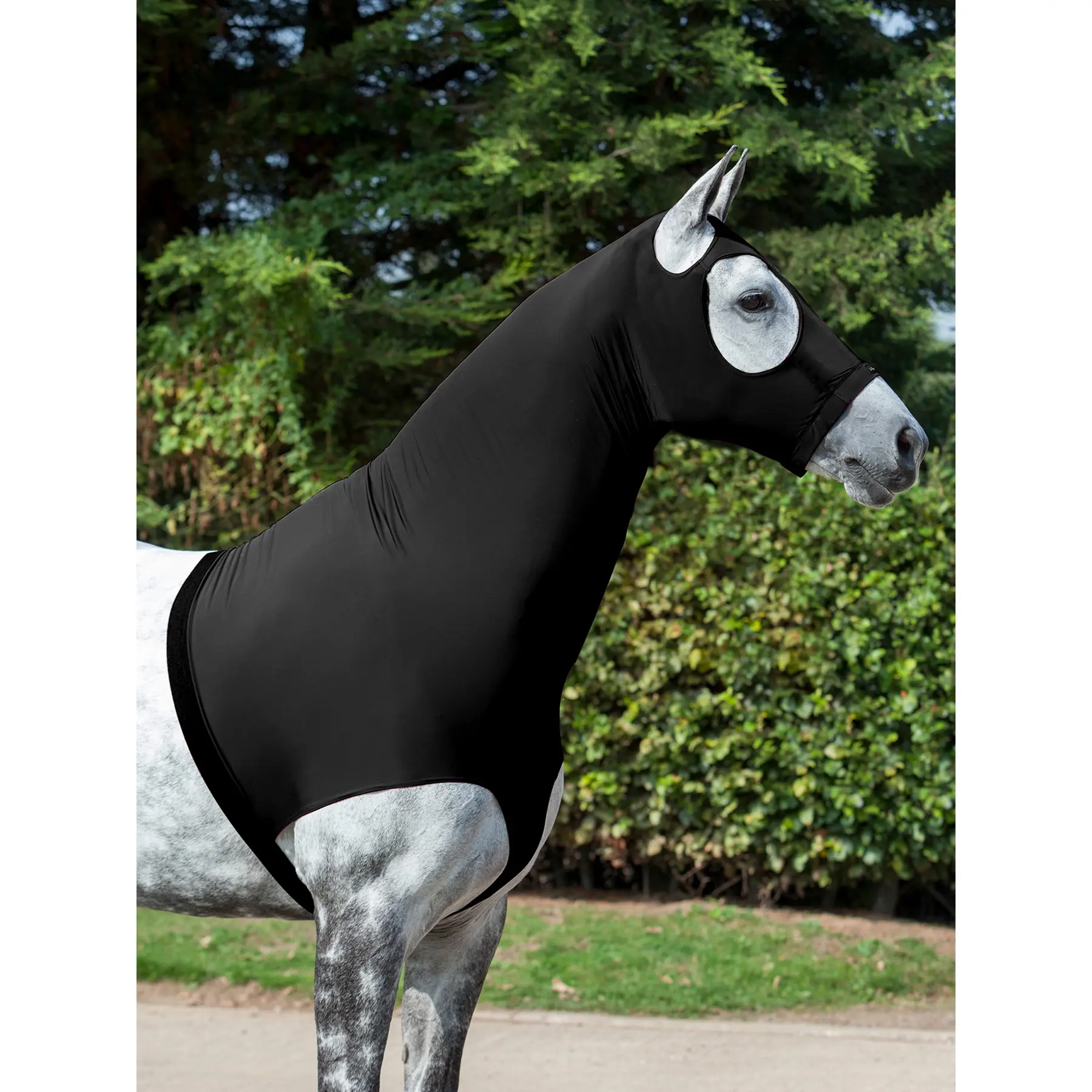 Cagoule élastique pour cheval LeMieux
