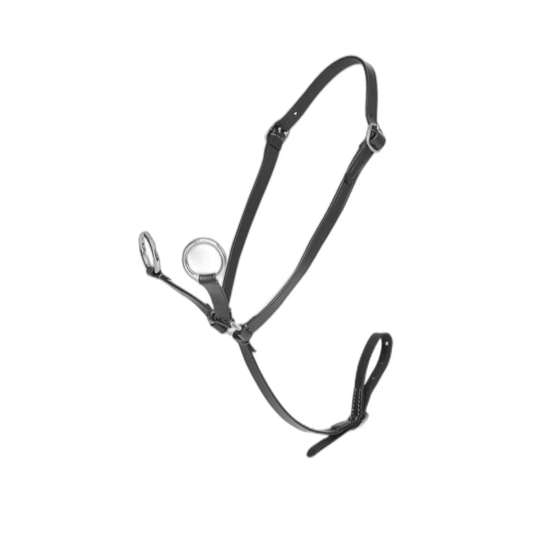 Pony martingale LeMieux