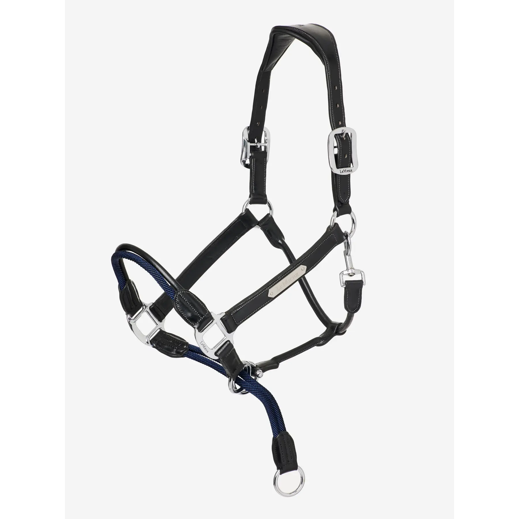 Halter for horse LeMieux reins Control