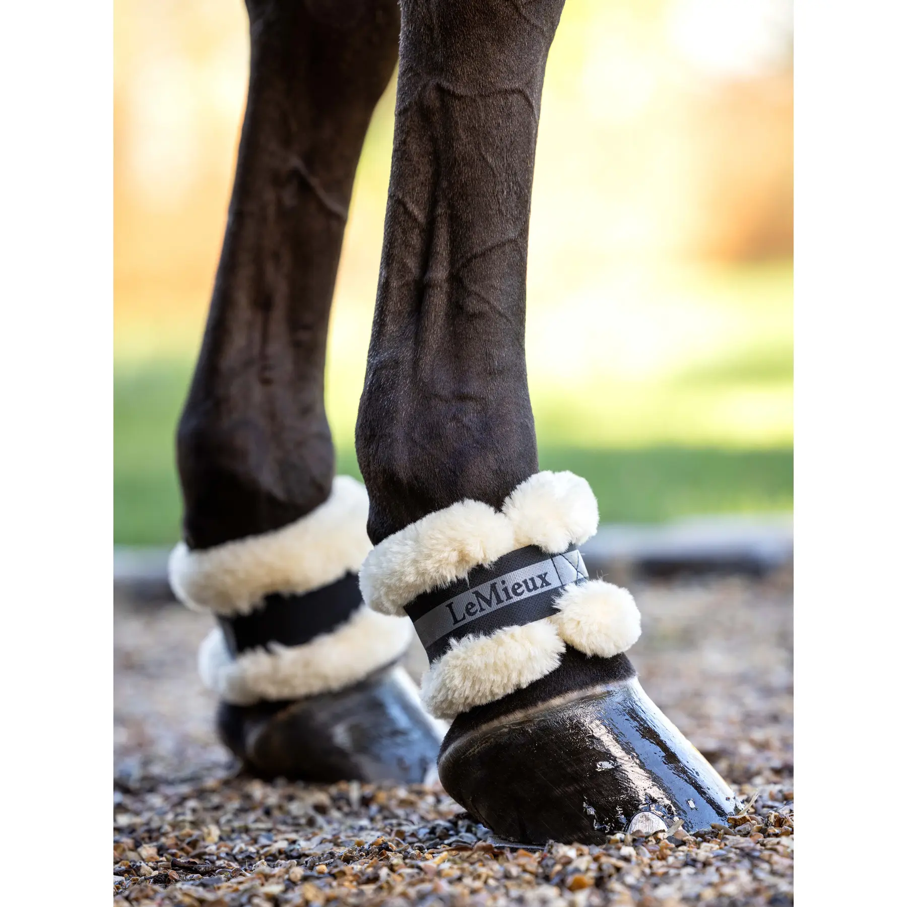 Gallop-Store UK