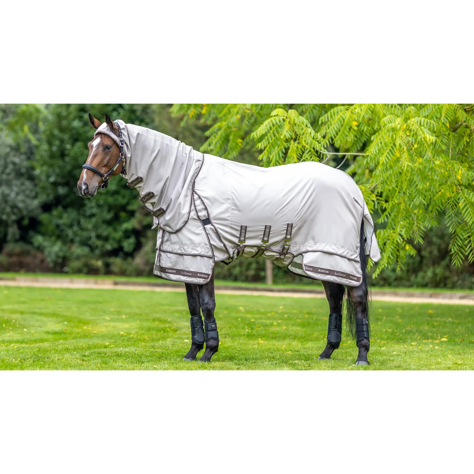 Couverture d'extérieur pour cheval LeMieux Kudos Sweet