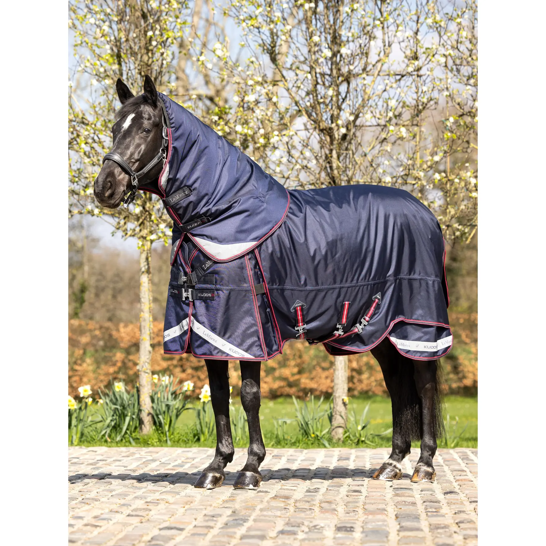 Coperta da esterno per cavalli LeMieux Kudos Thermo Layer 100g