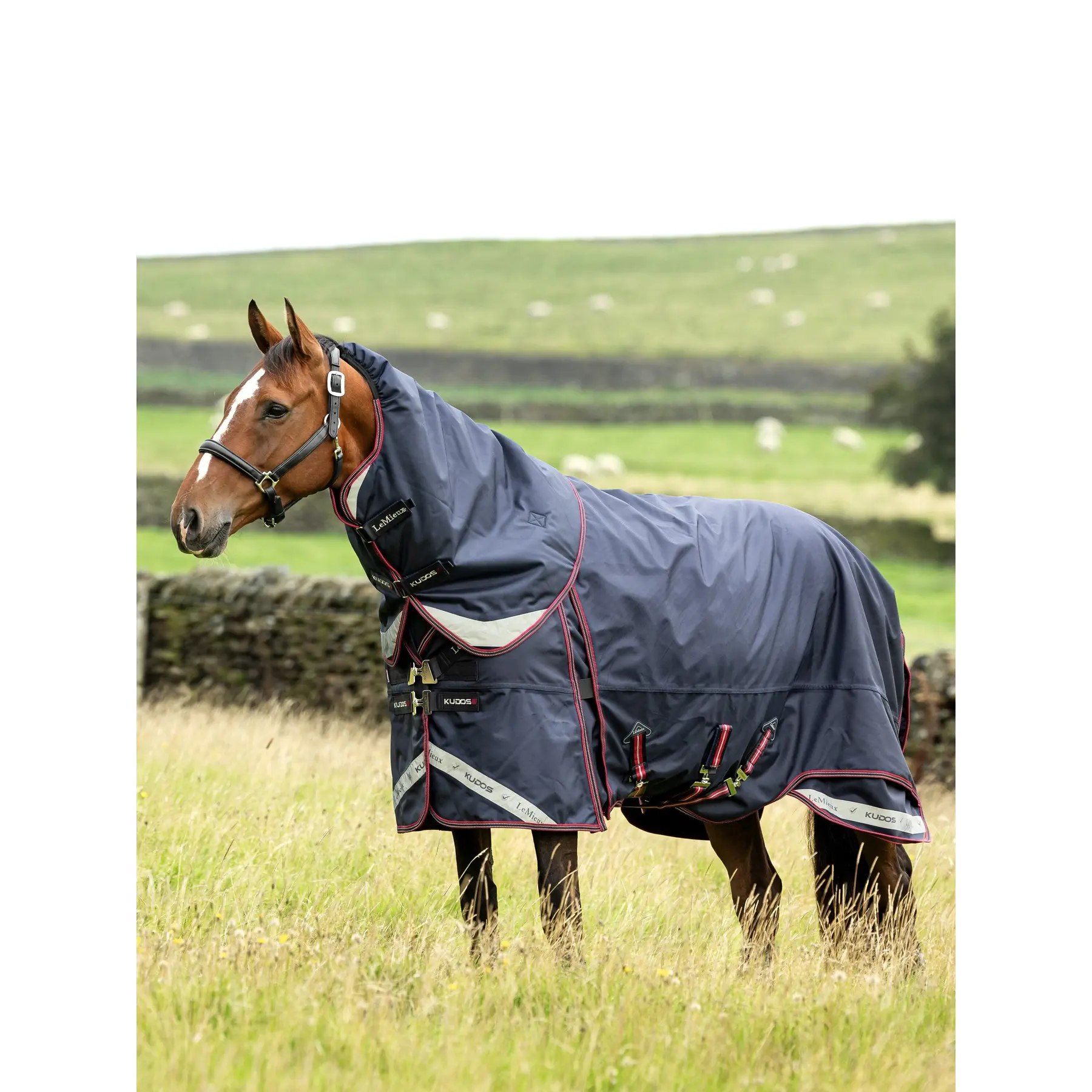 Outdoor horse blanket LeMieux Kudos Thermo Layer 300g