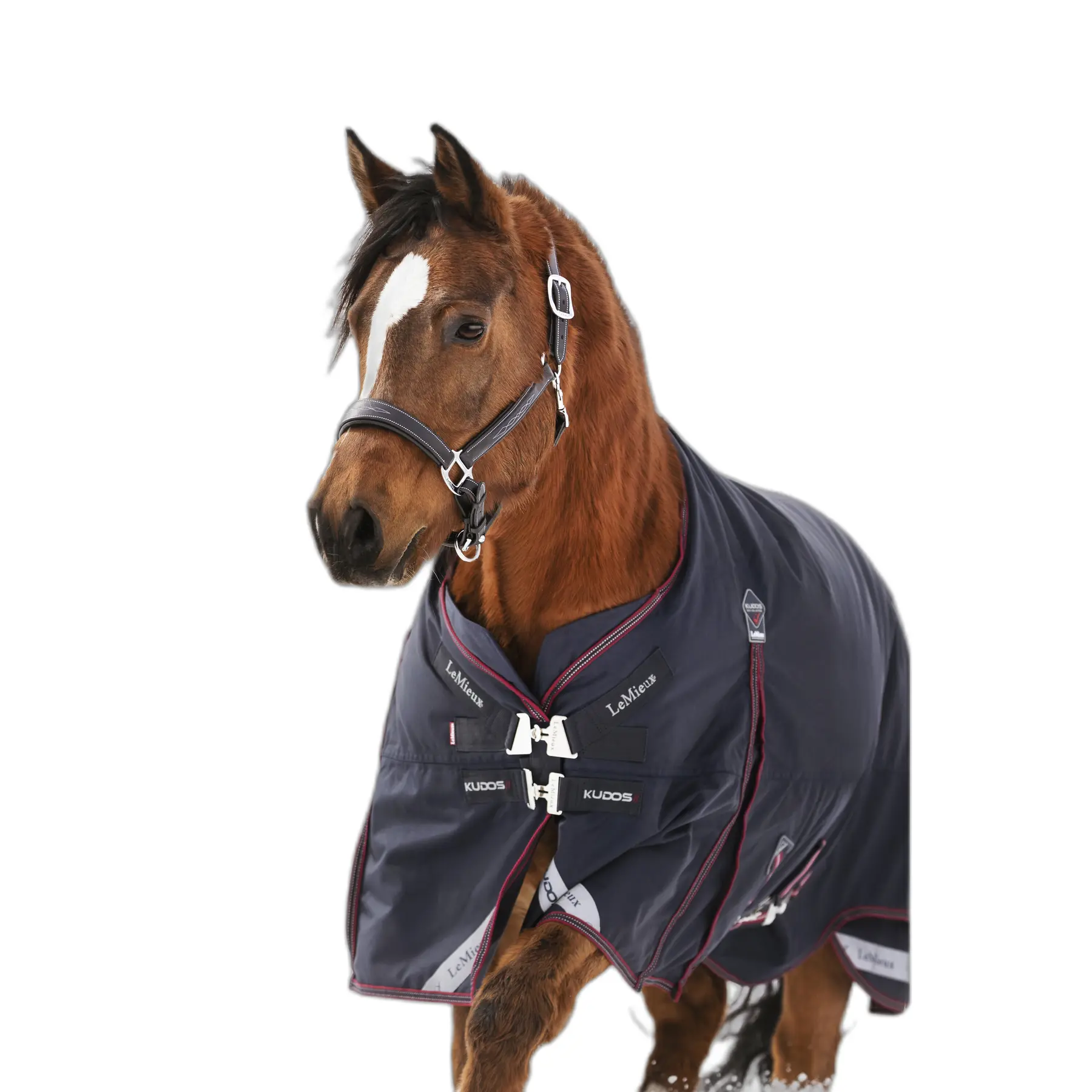 Waterproof outdoor blanket with neck cover for horse LeMieux Kudos 200g
