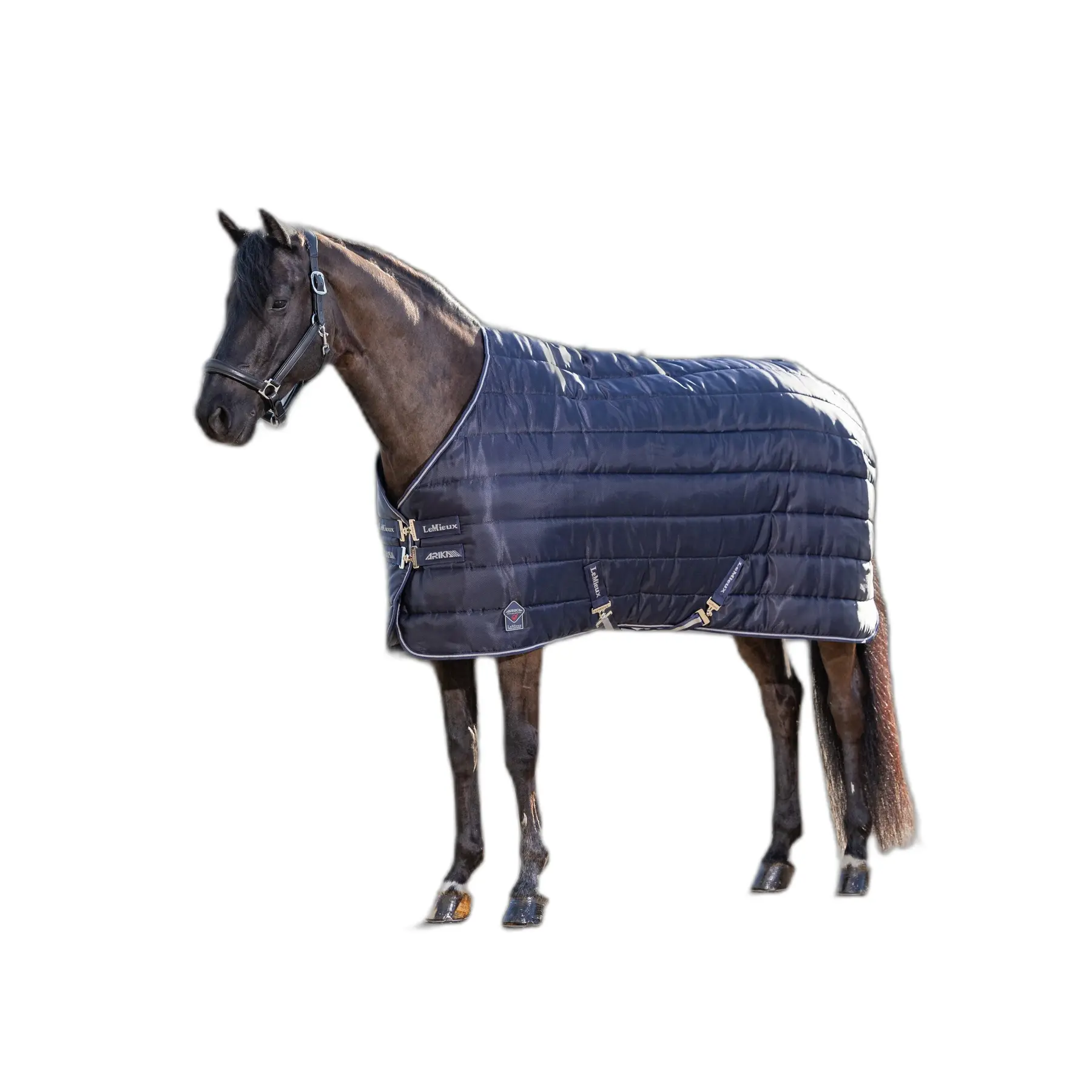 Stable Blanket LeMieux Arika Stable-Tek 350g