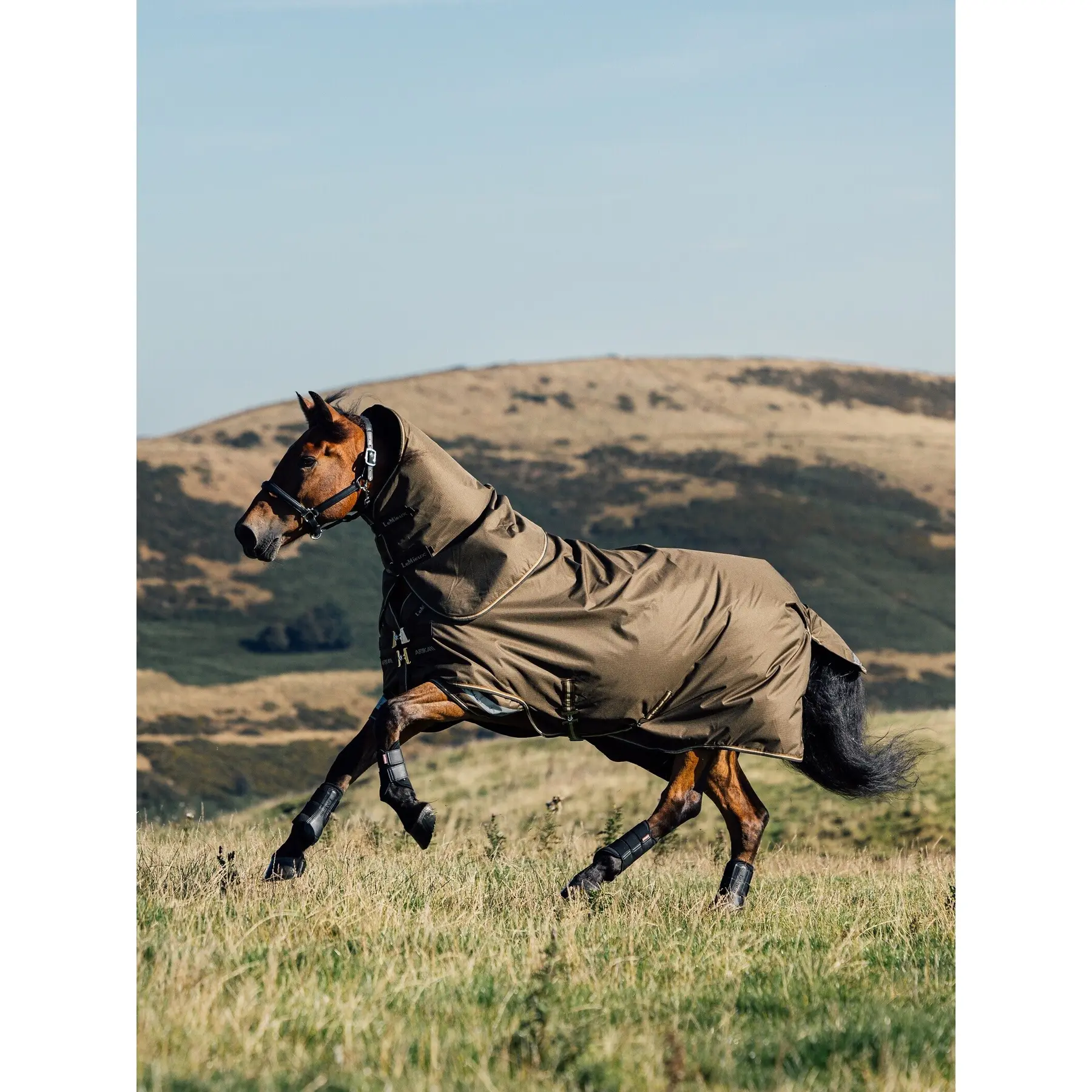 Coperta impermeabile per cavalli con copricollo LeMieux Arika Ripstop 0g