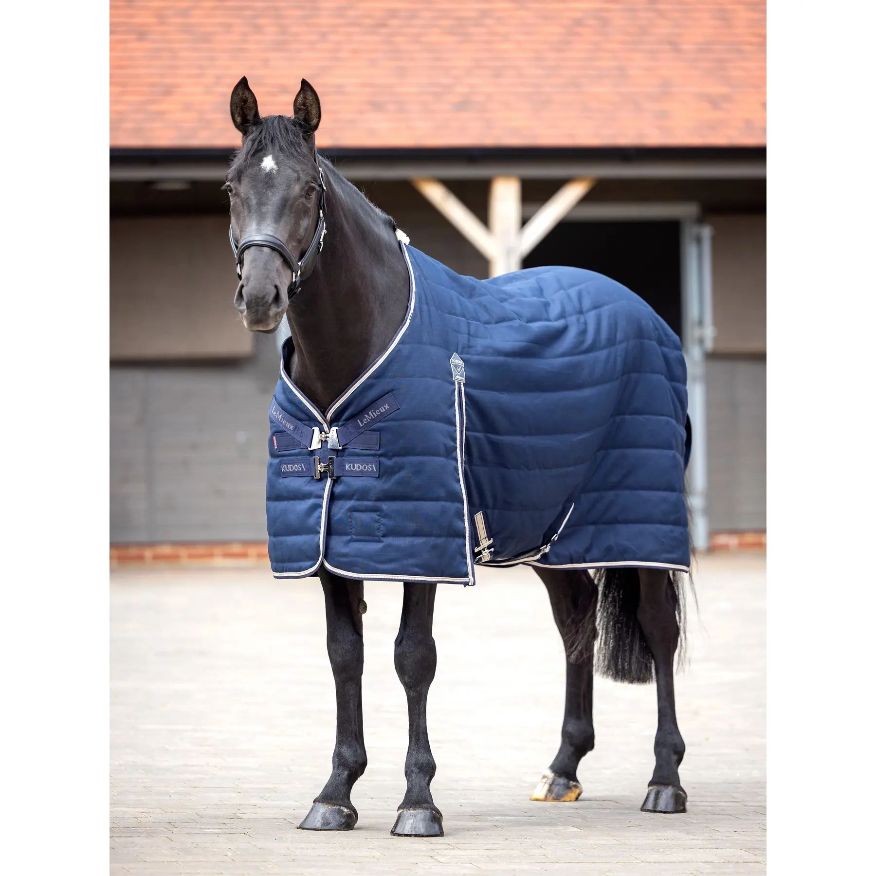 Outdoor  Blanket LeMieux Kudos 200g