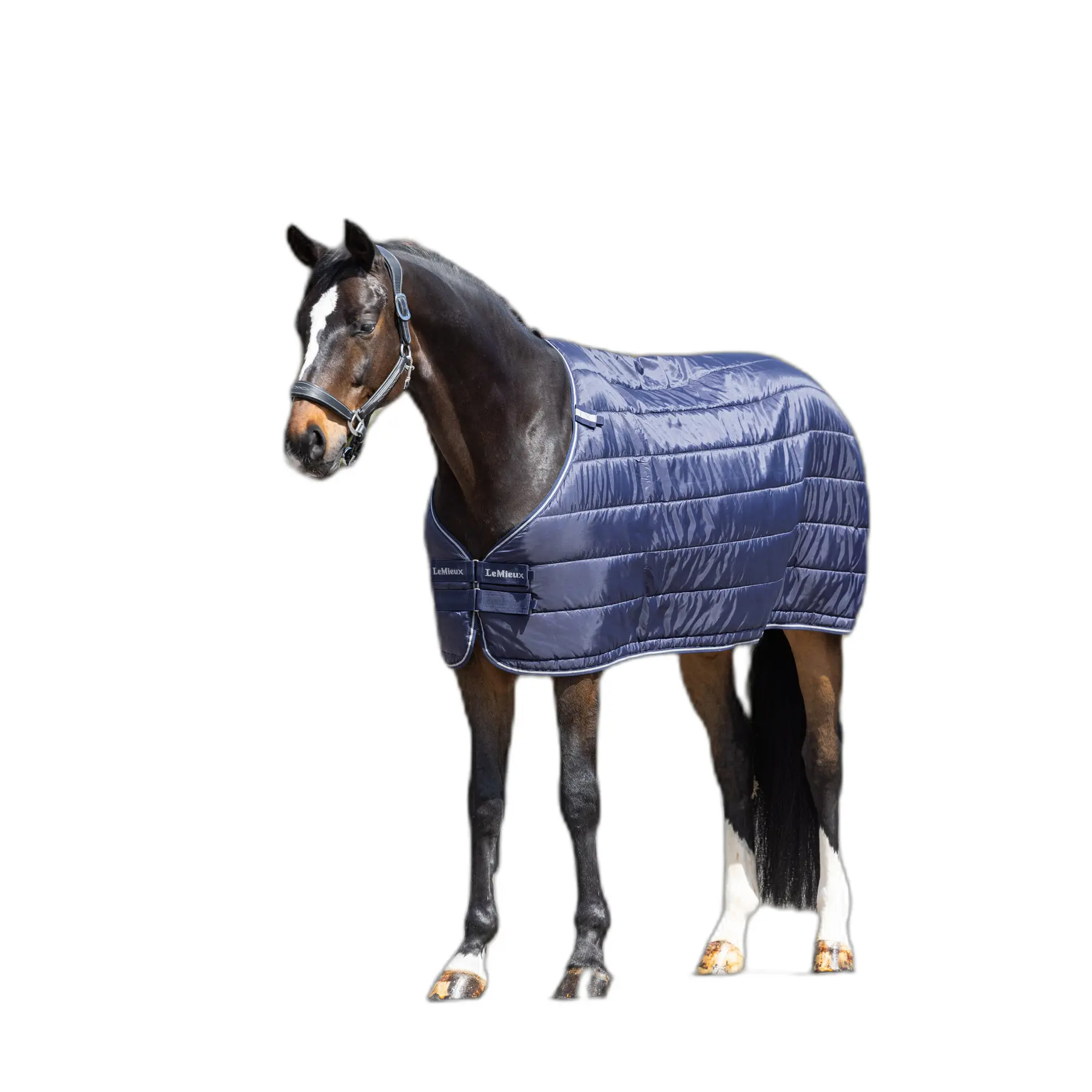 Unterdecke für Pferd LeMieux 200 g
