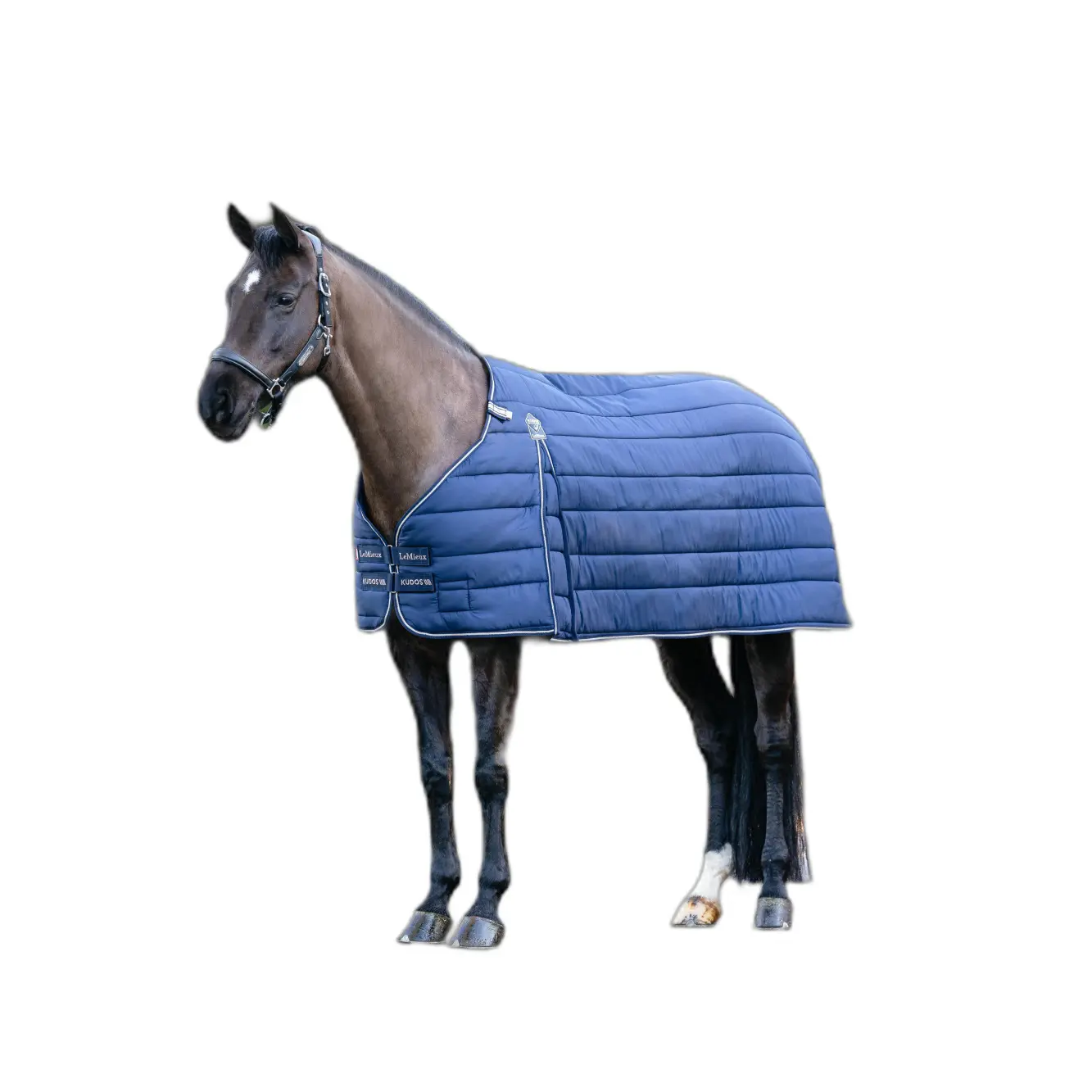 Sous-couverture pour cheval LeMieux Kudos 200g