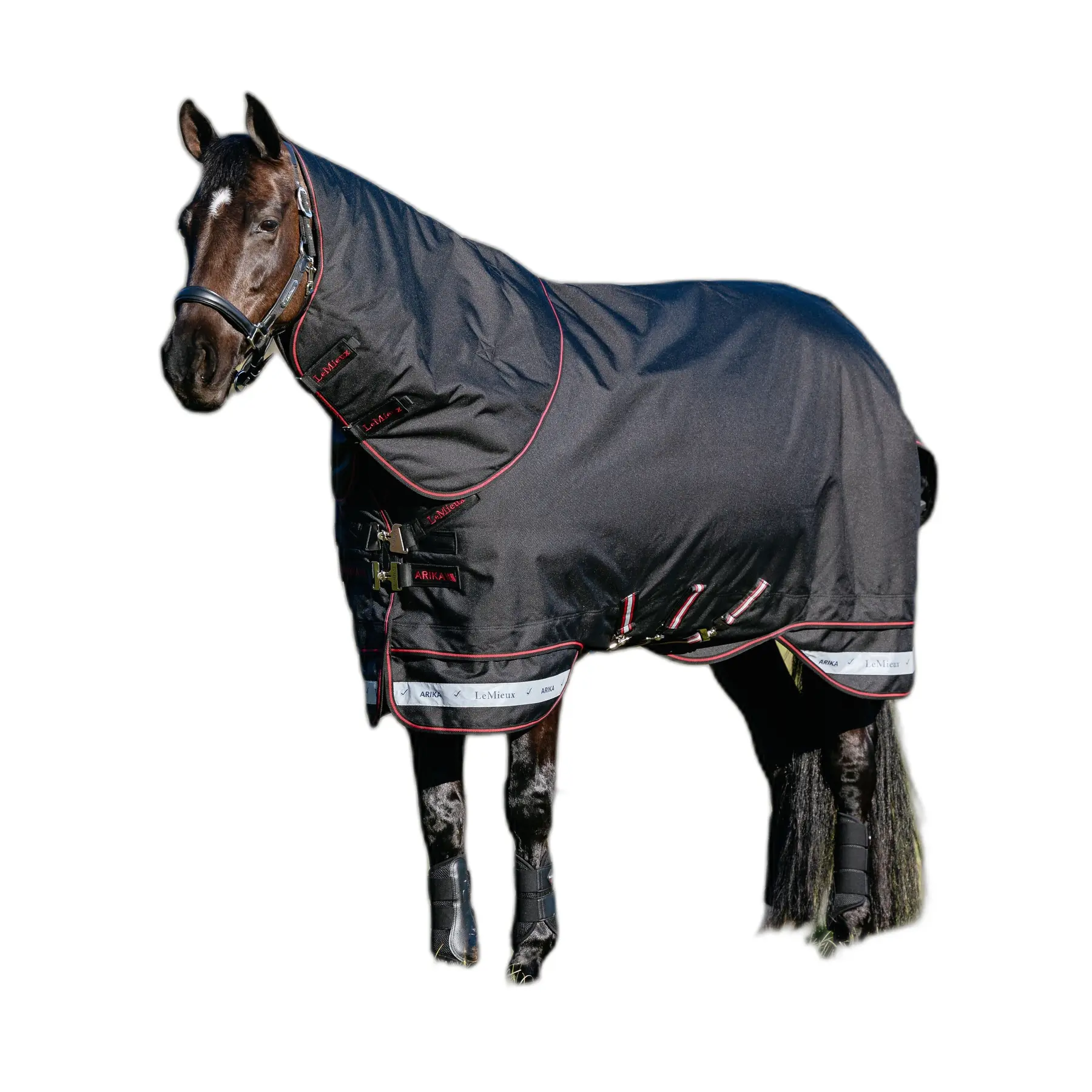 Coperta impermeabile per cavalli LeMieux Arika Storm-Tek 50g